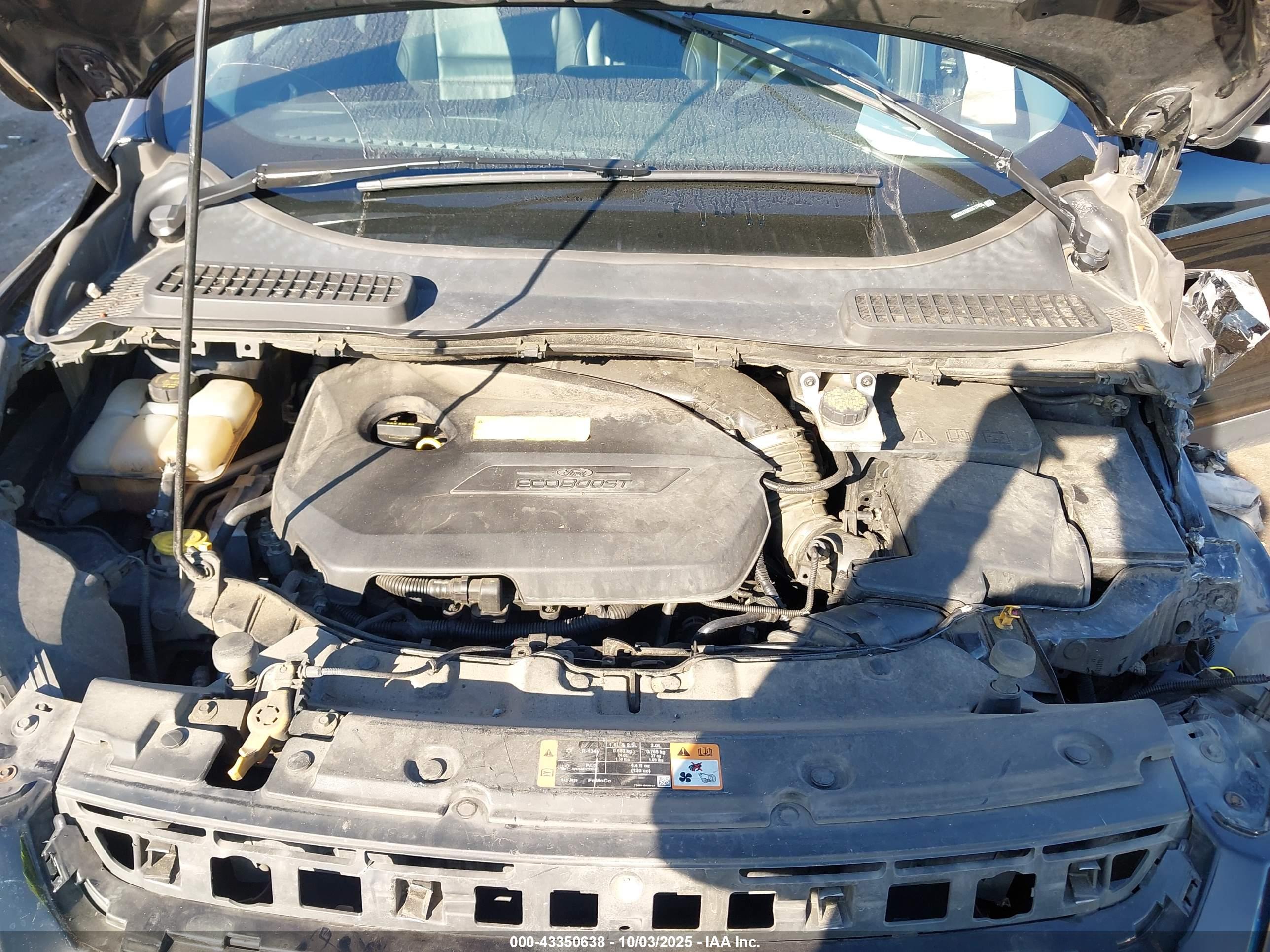FORD ESCAPE image 10