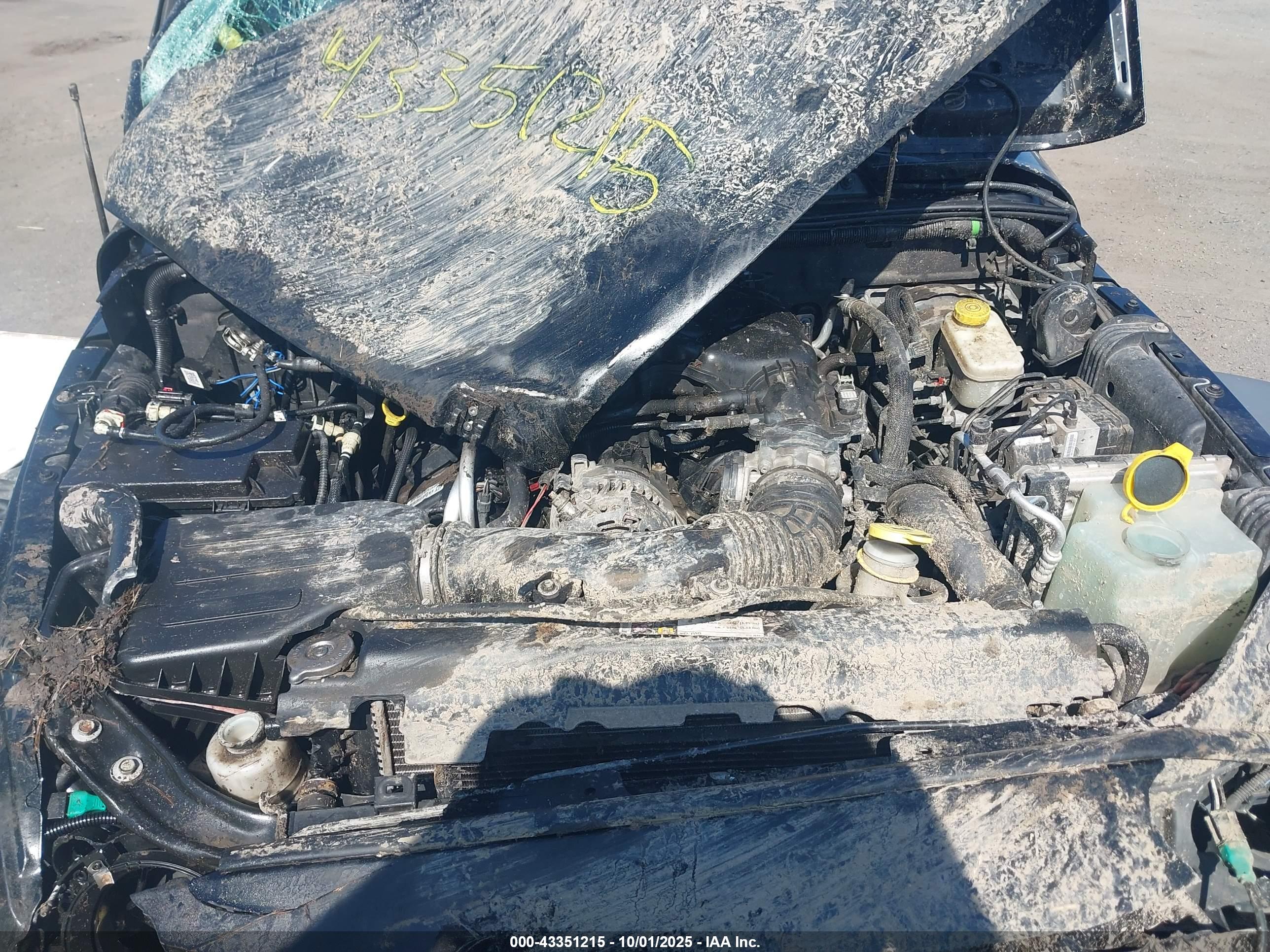 JEEP WRANGLER image 10