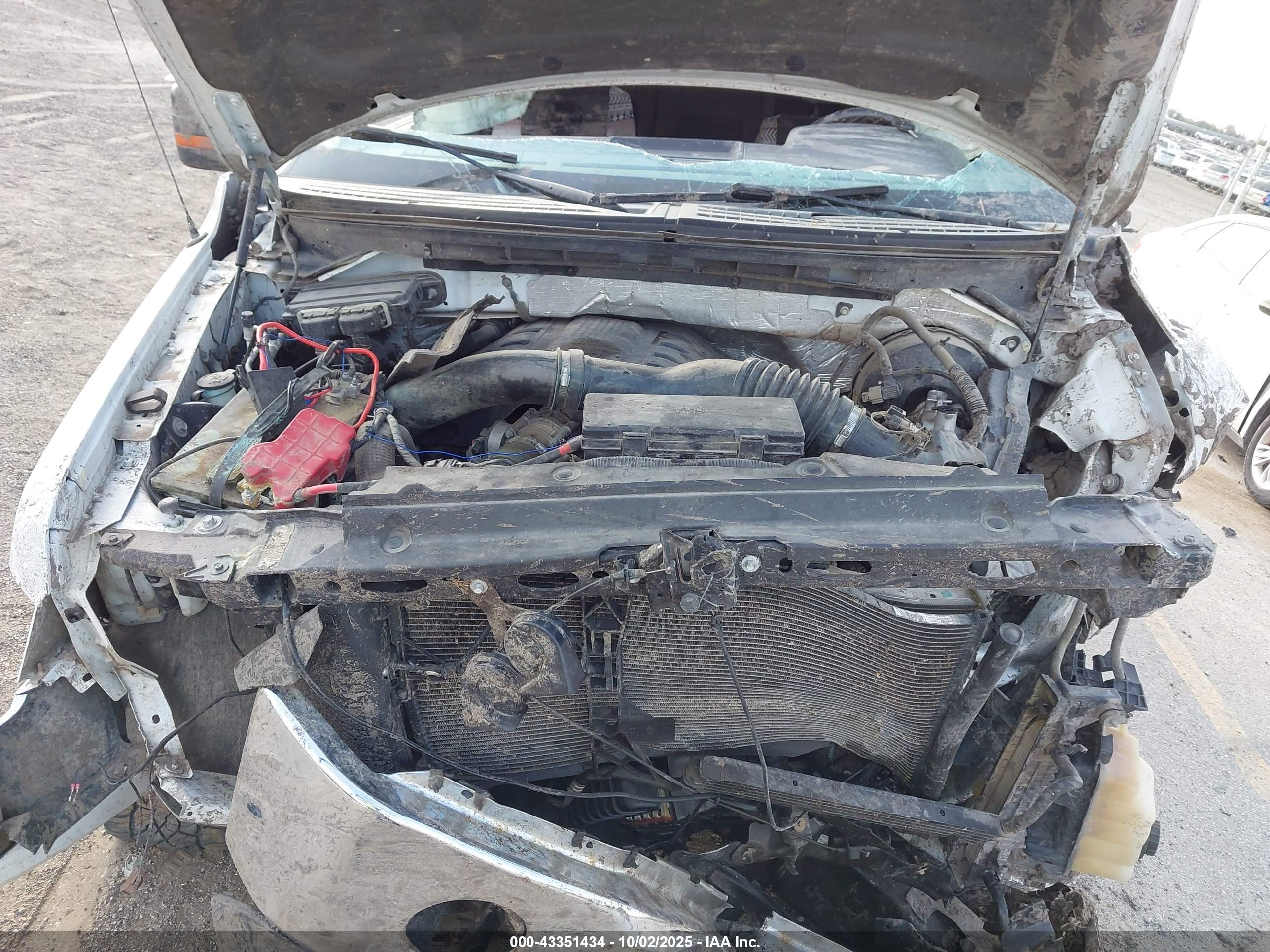 FORD F-150 image 10