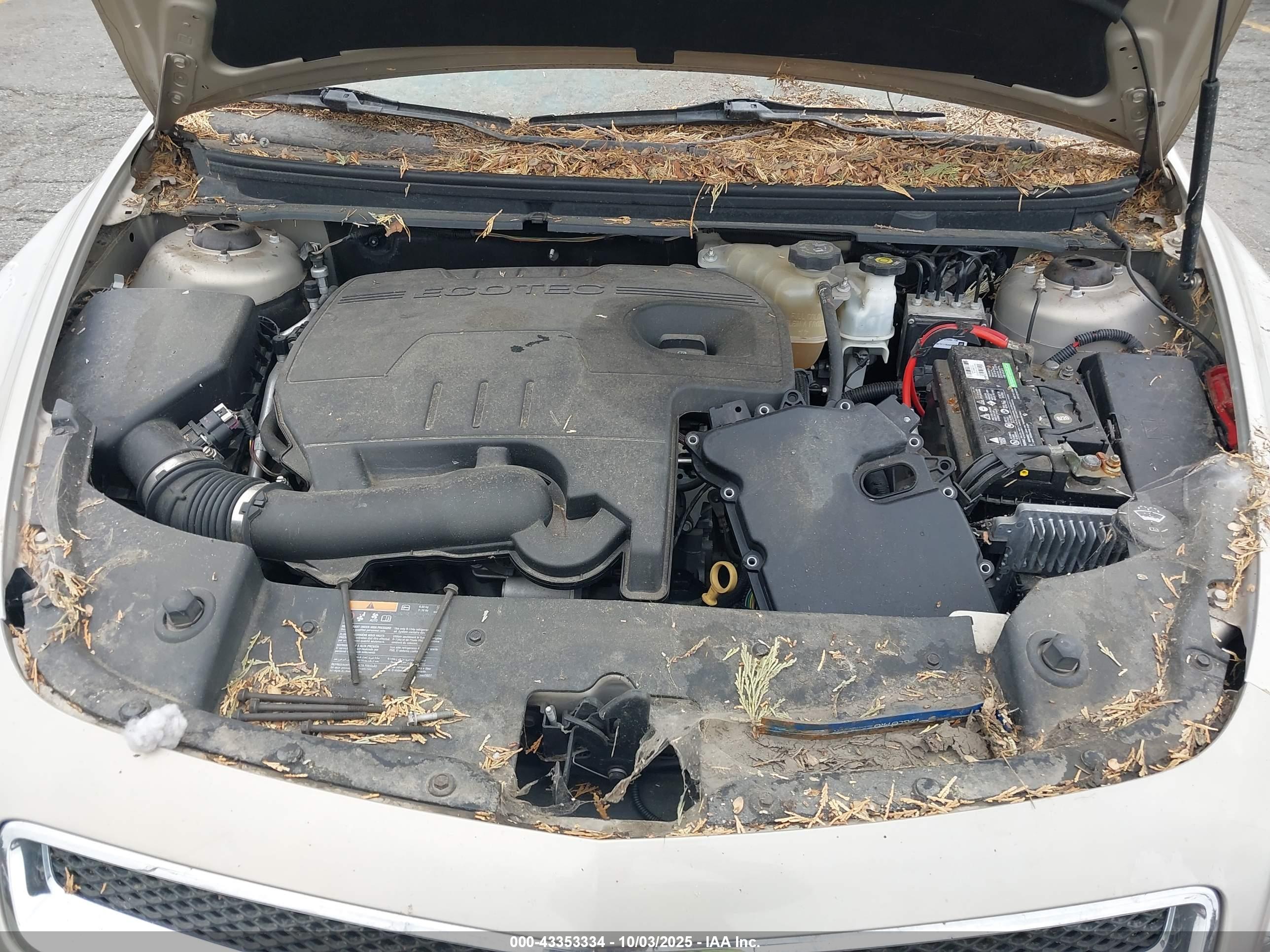 CHEVROLET MALIBU image 10