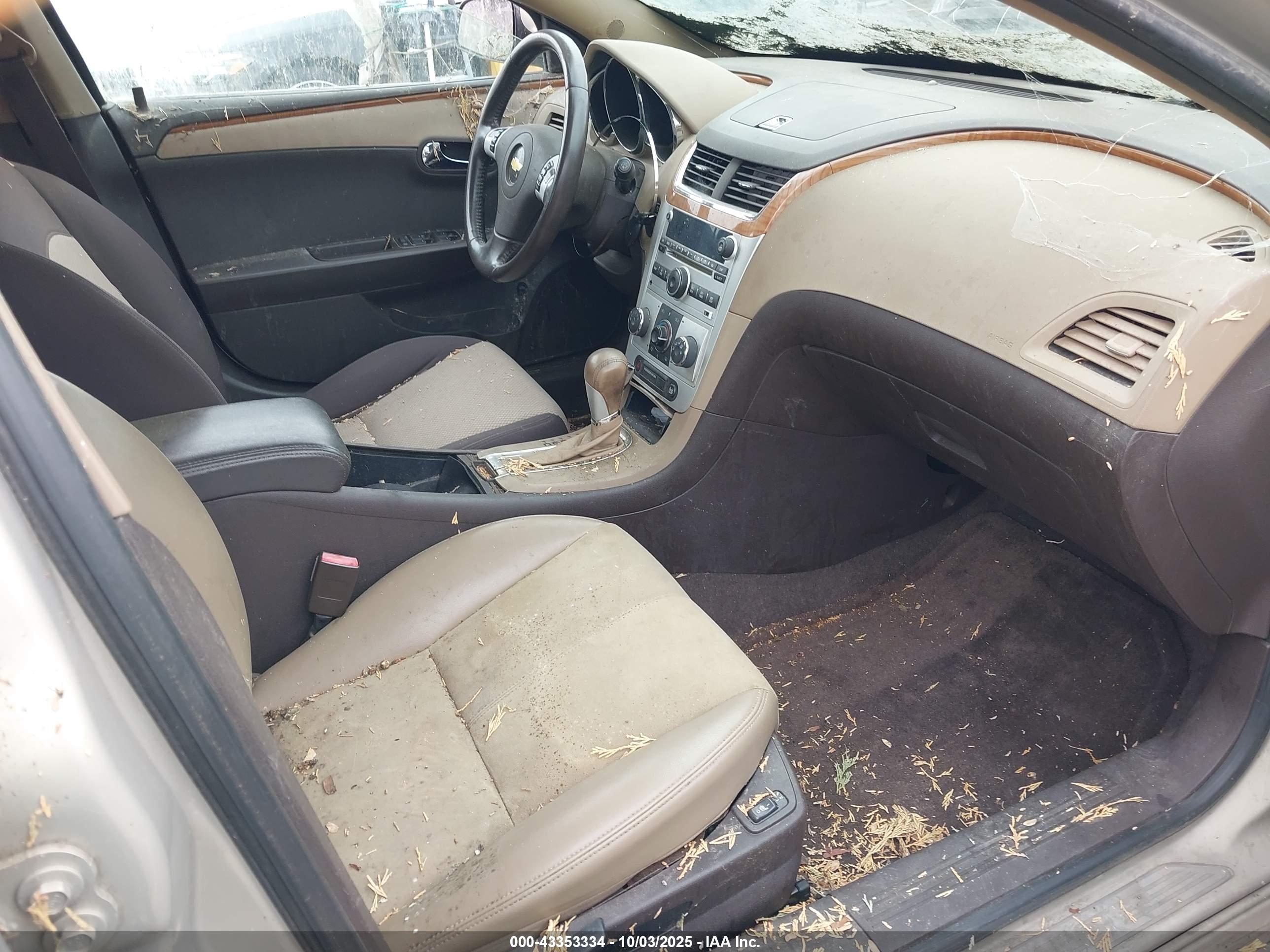 CHEVROLET MALIBU image 5