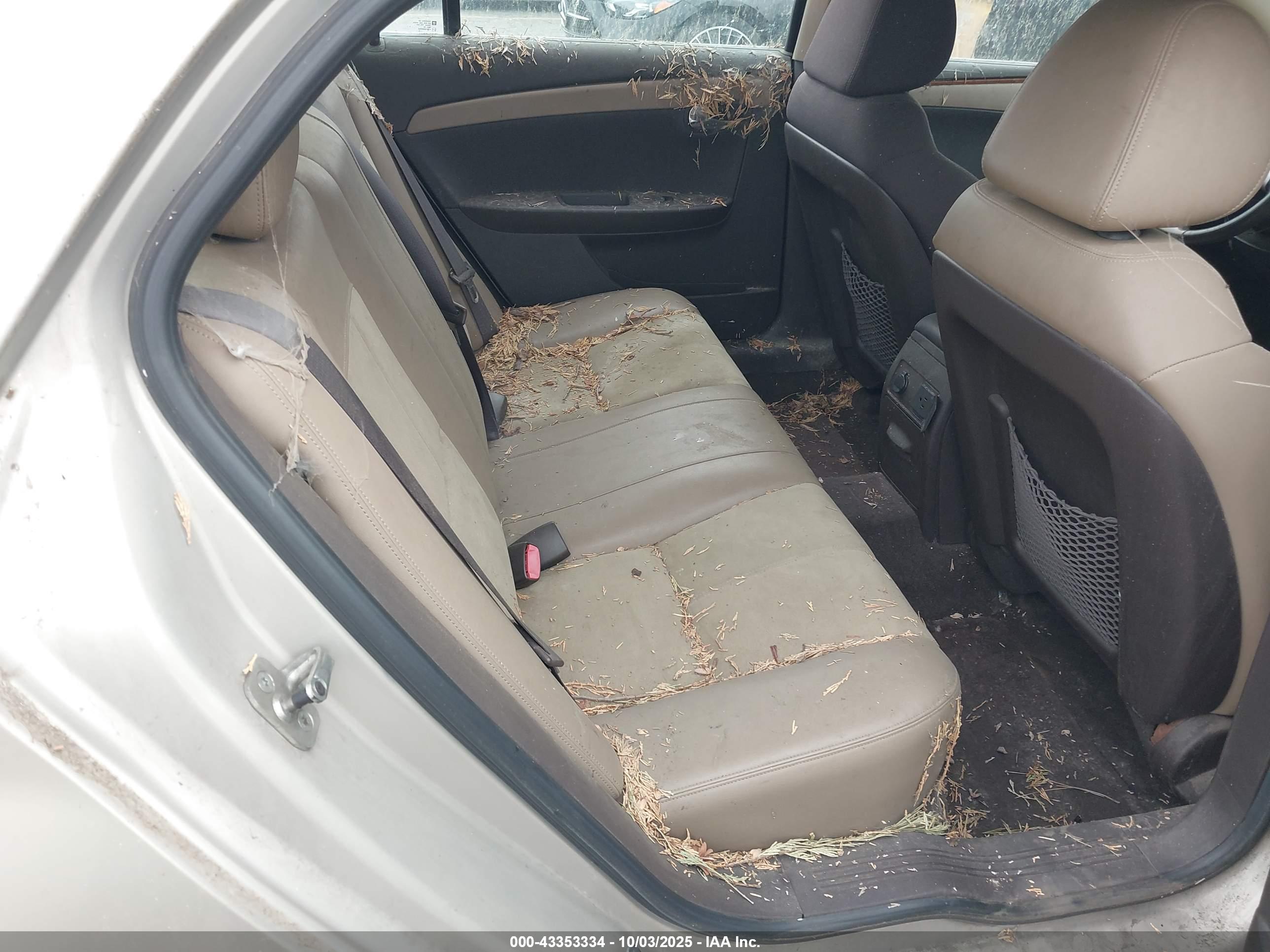 CHEVROLET MALIBU image 8