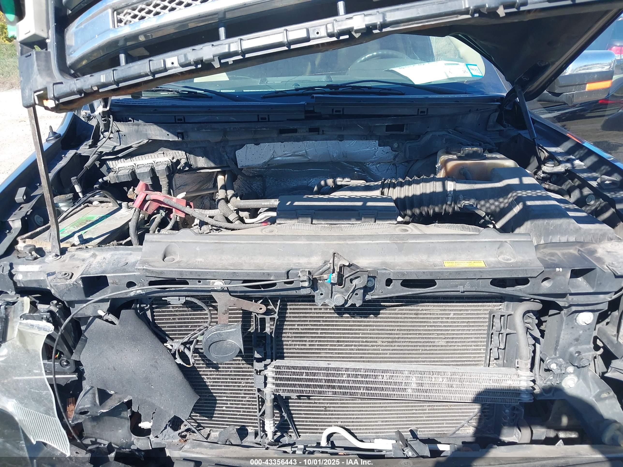FORD F-150 image 10
