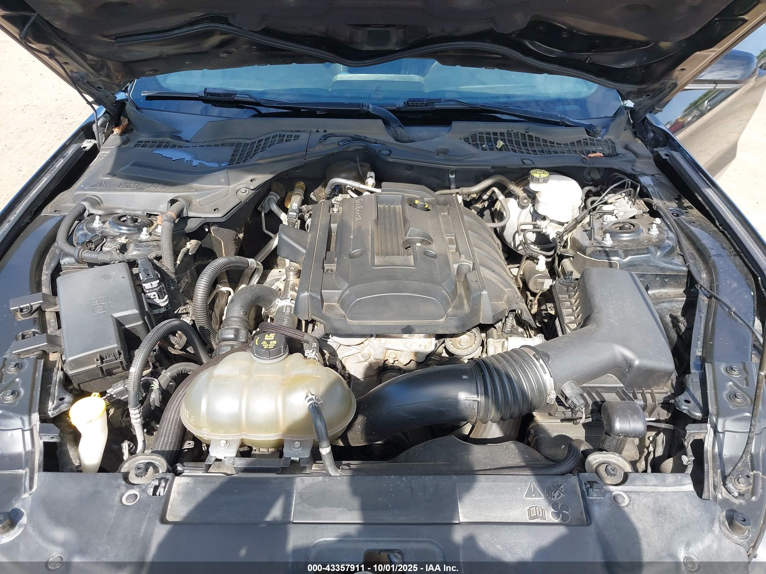 FORD MUSTANG image 10