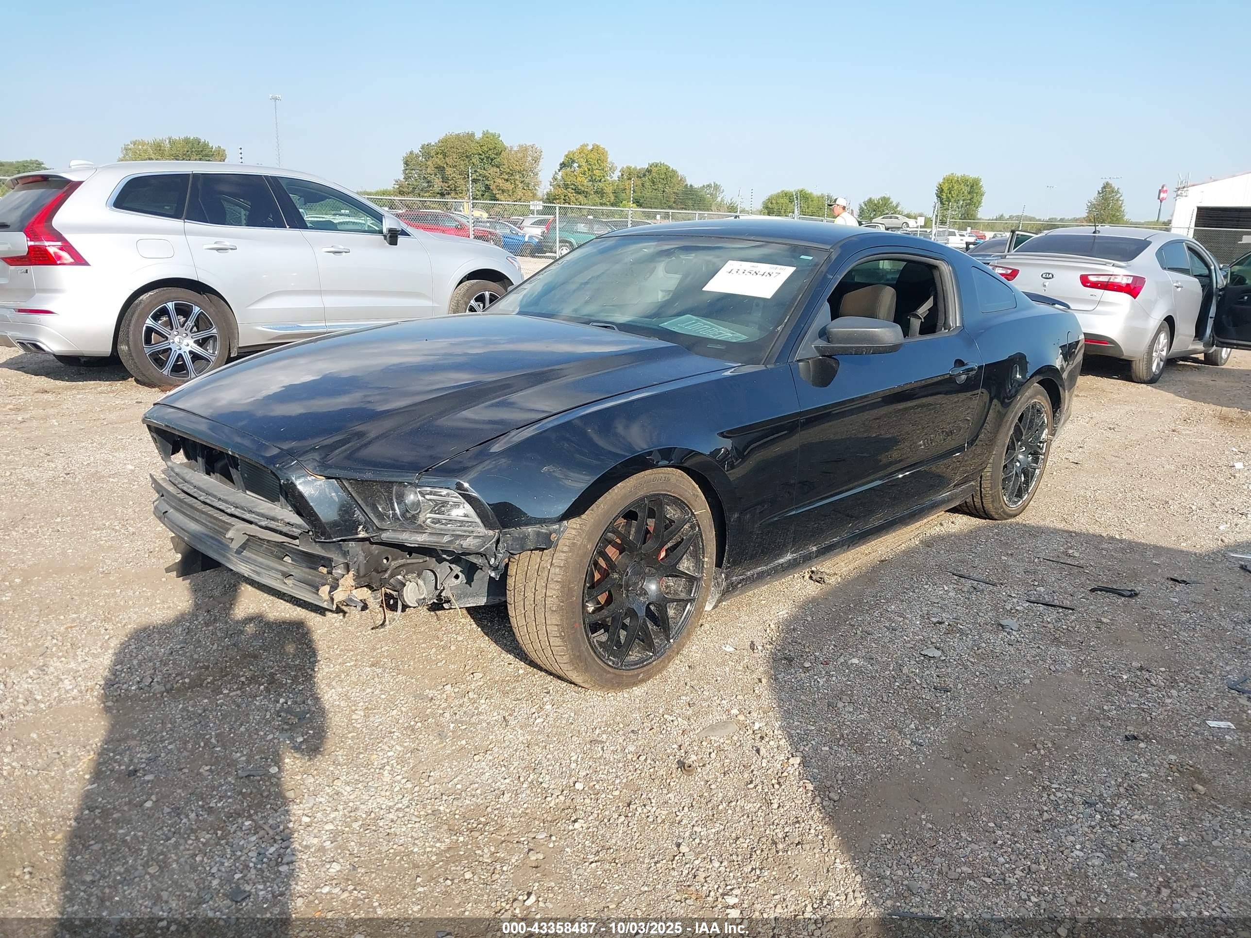 FORD MUSTANG image 2
