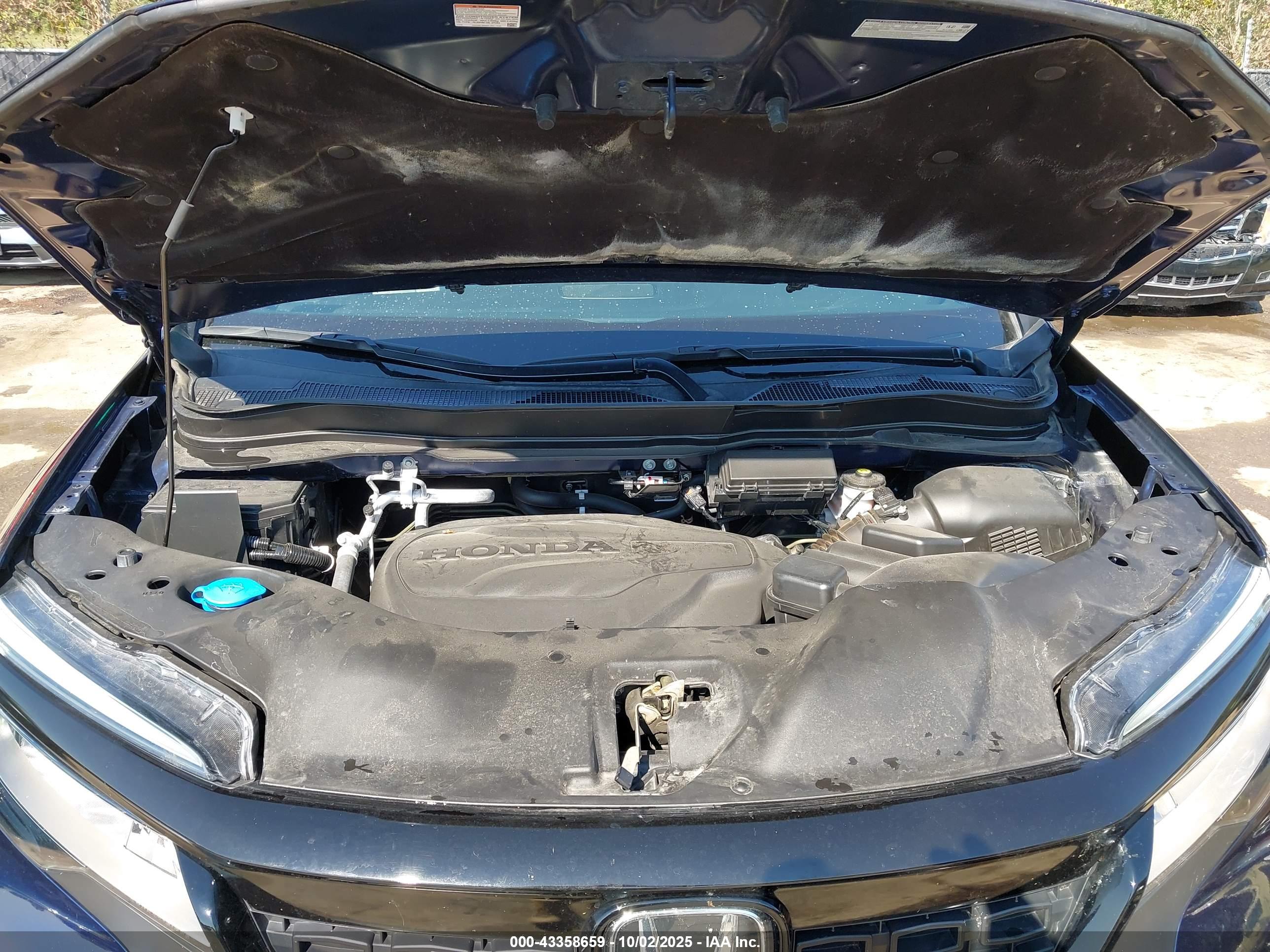 HONDA PASSPORT image 10