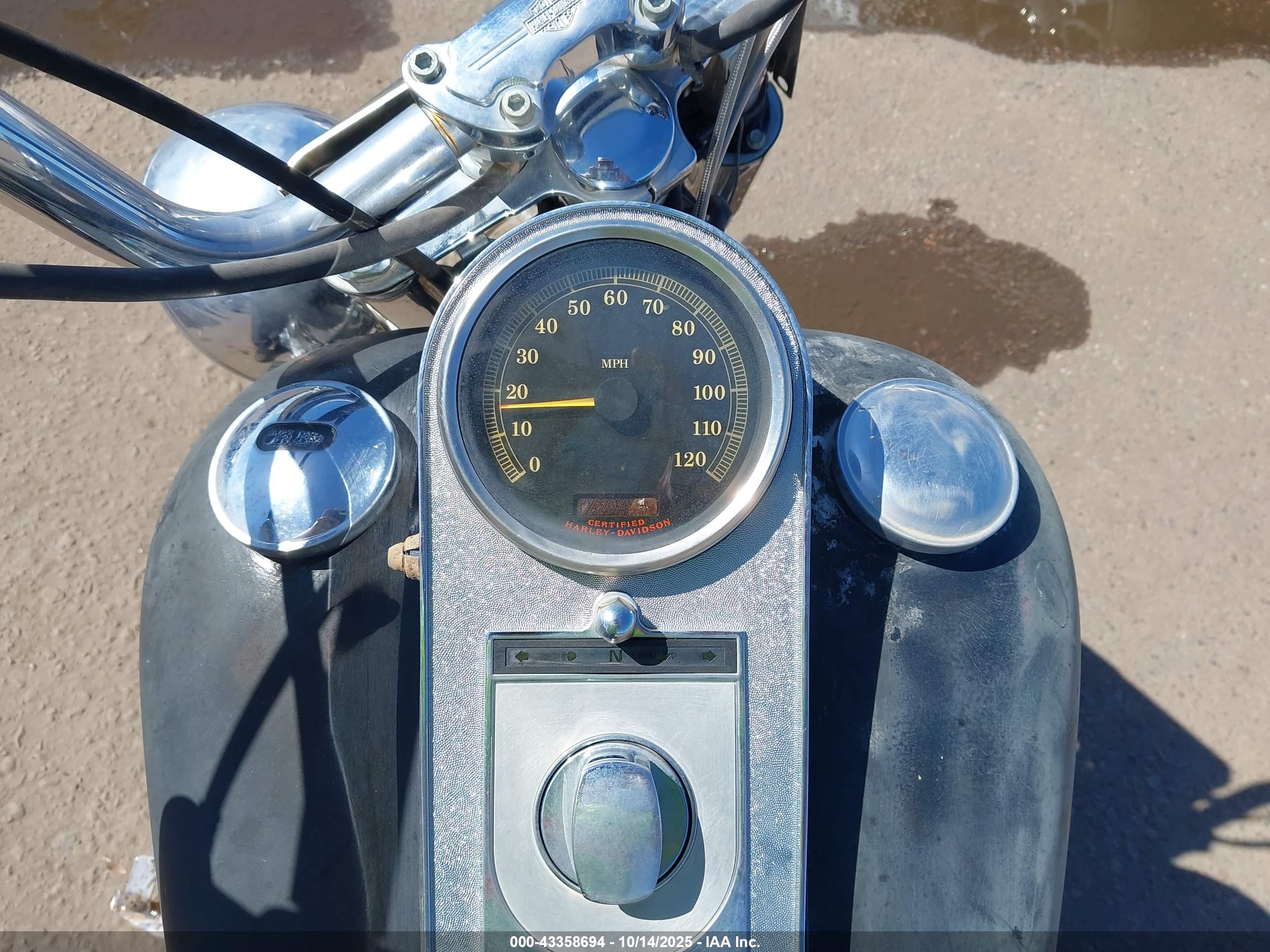 HARLEY-DAVIDSON FLSTCI image 7