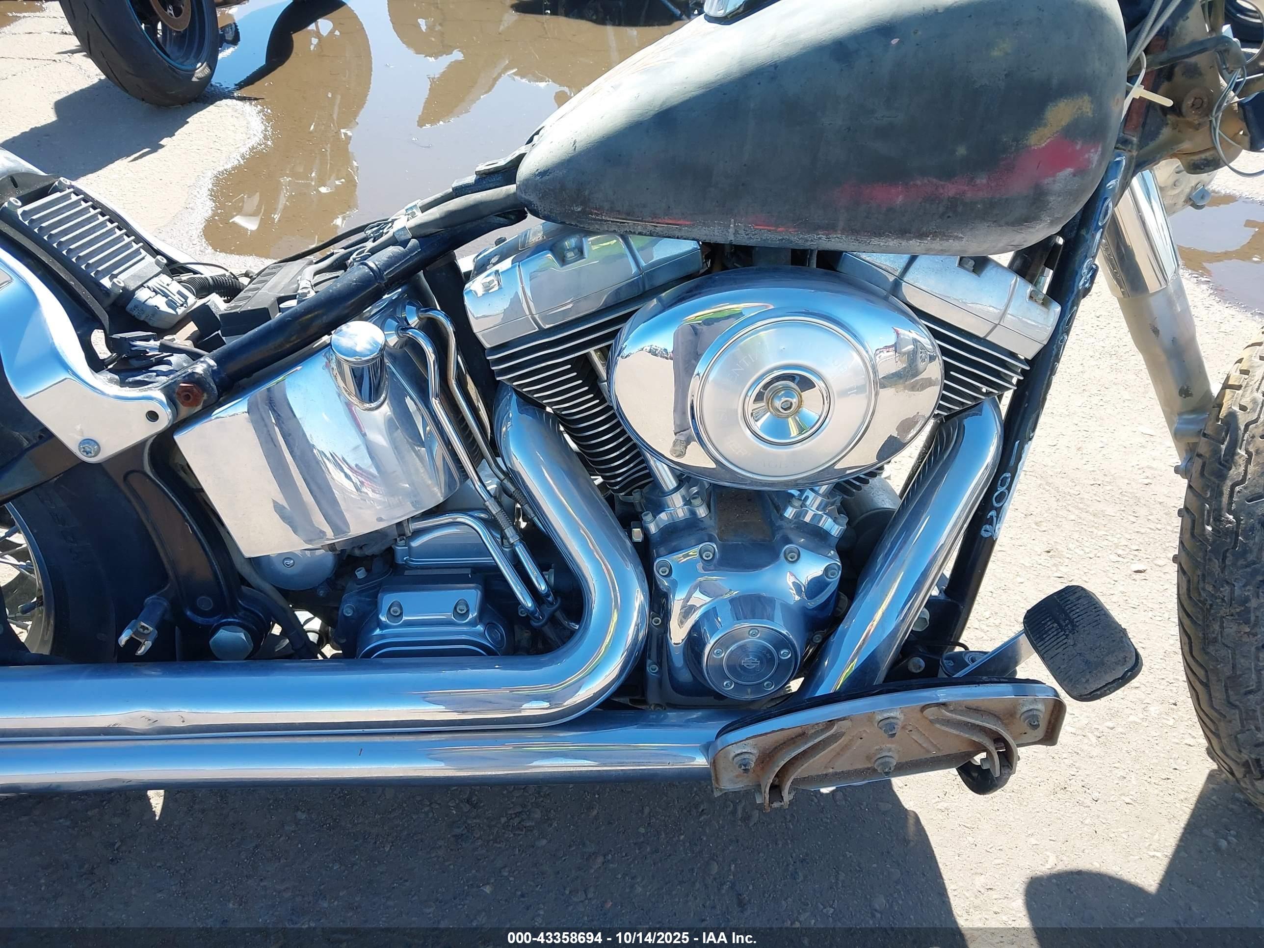 HARLEY-DAVIDSON FLSTCI image 8
