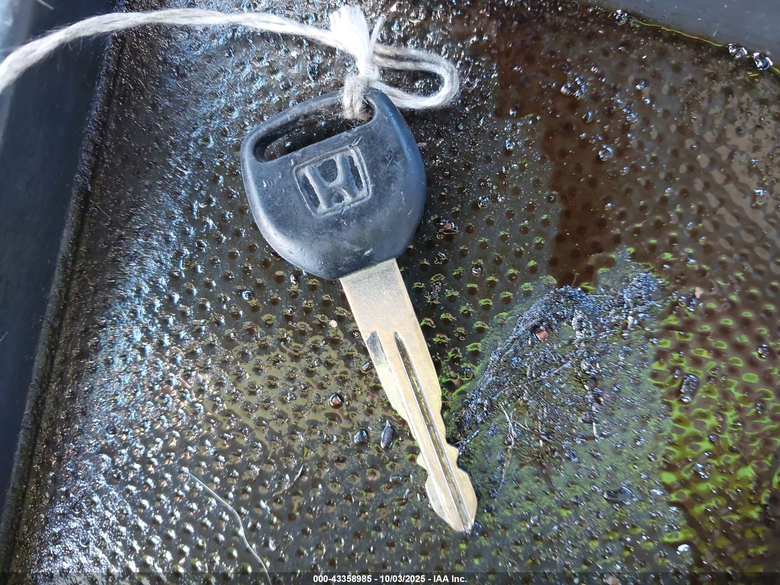 HONDA CR-V image 11