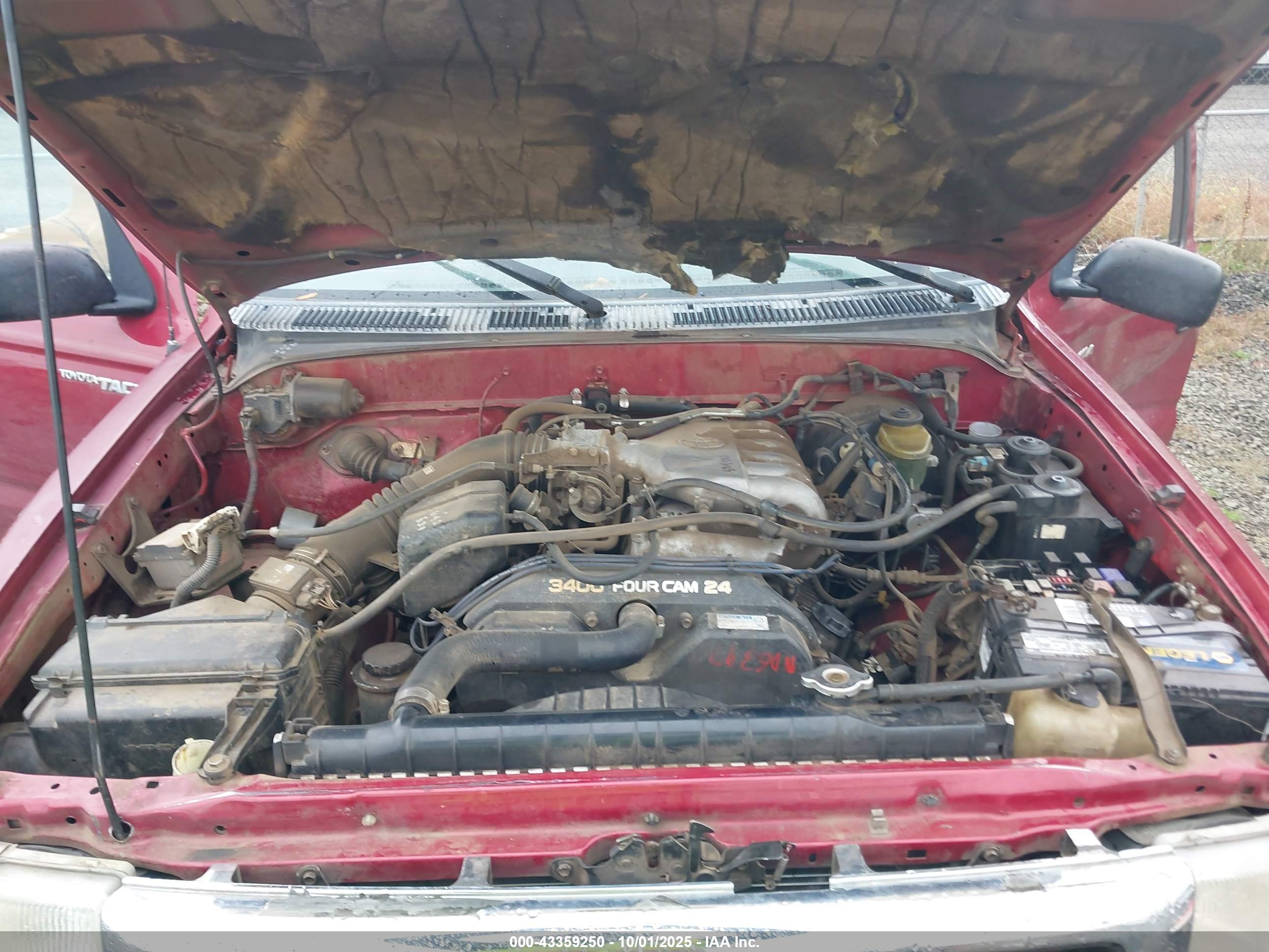 TOYOTA TACOMA image 10