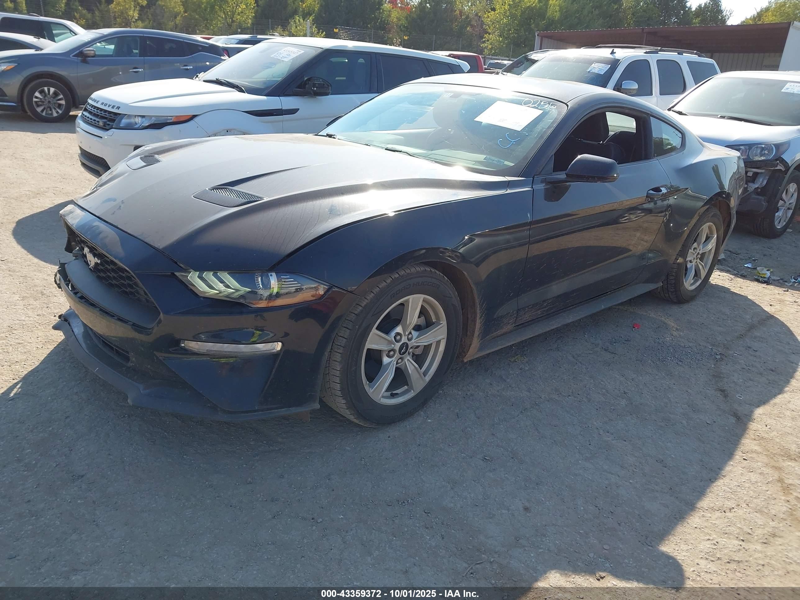 FORD MUSTANG image 2