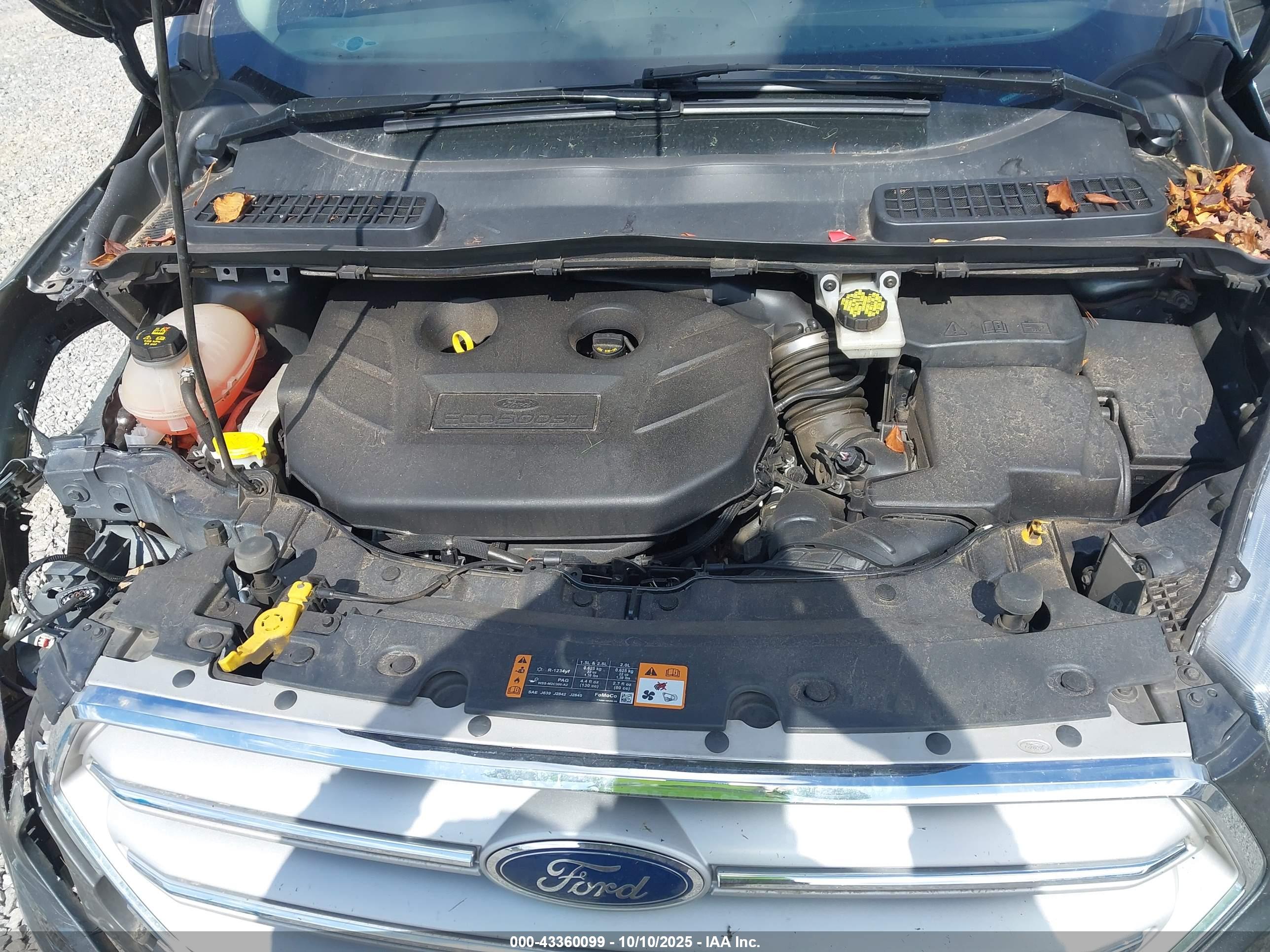 FORD ESCAPE image 10