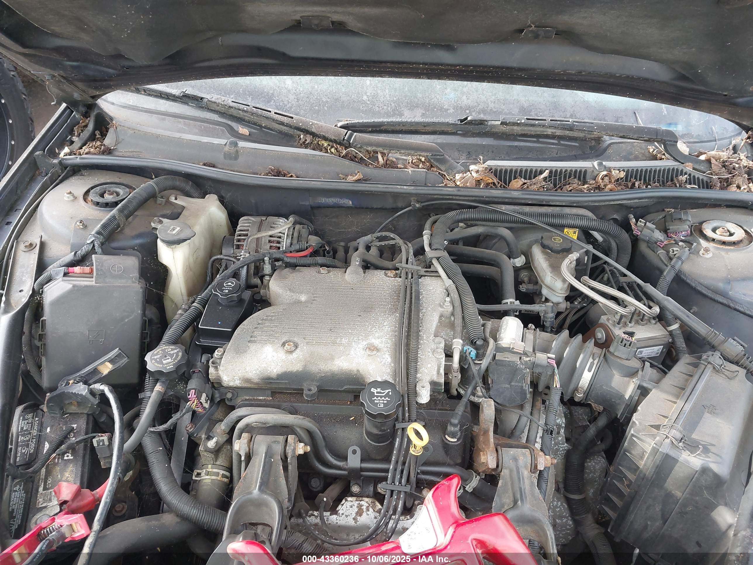 CHEVROLET IMPALA image 10
