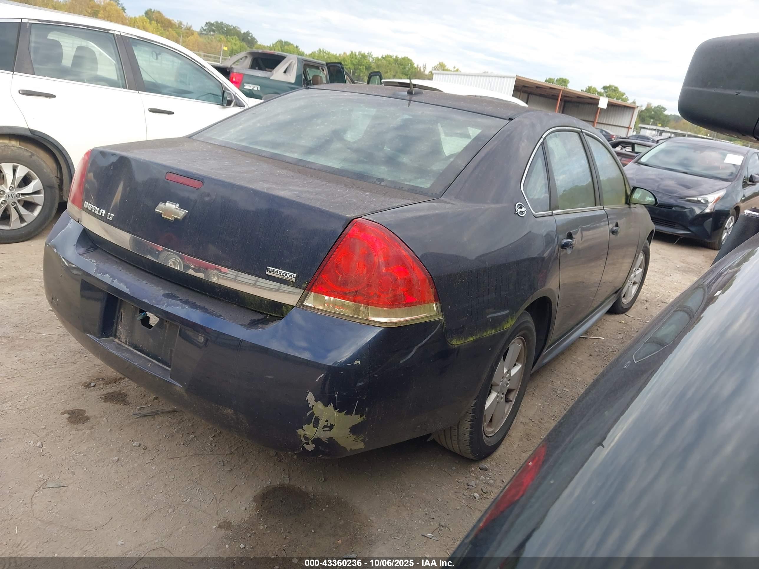 CHEVROLET IMPALA image 4