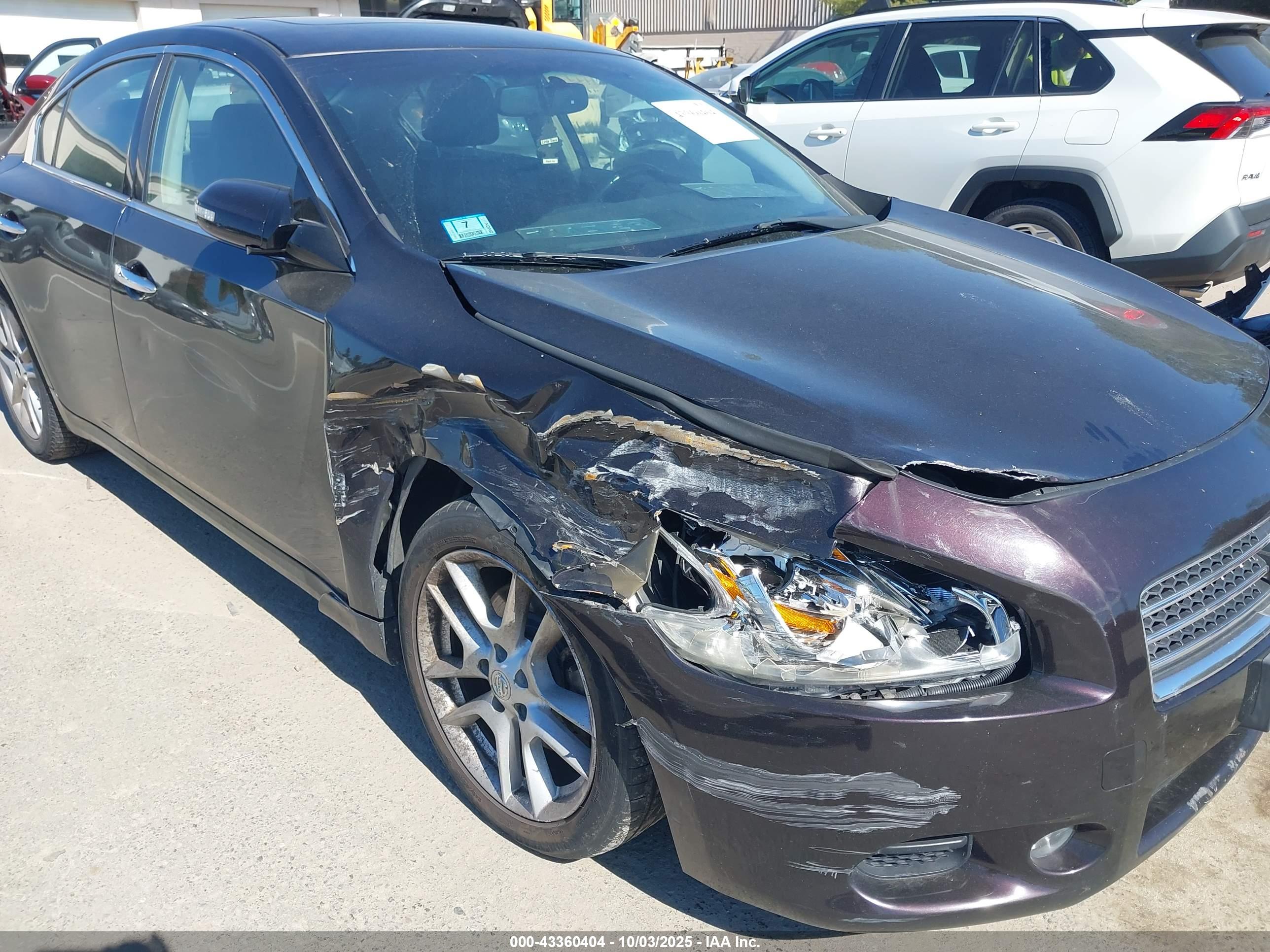 NISSAN MAXIMA image 6