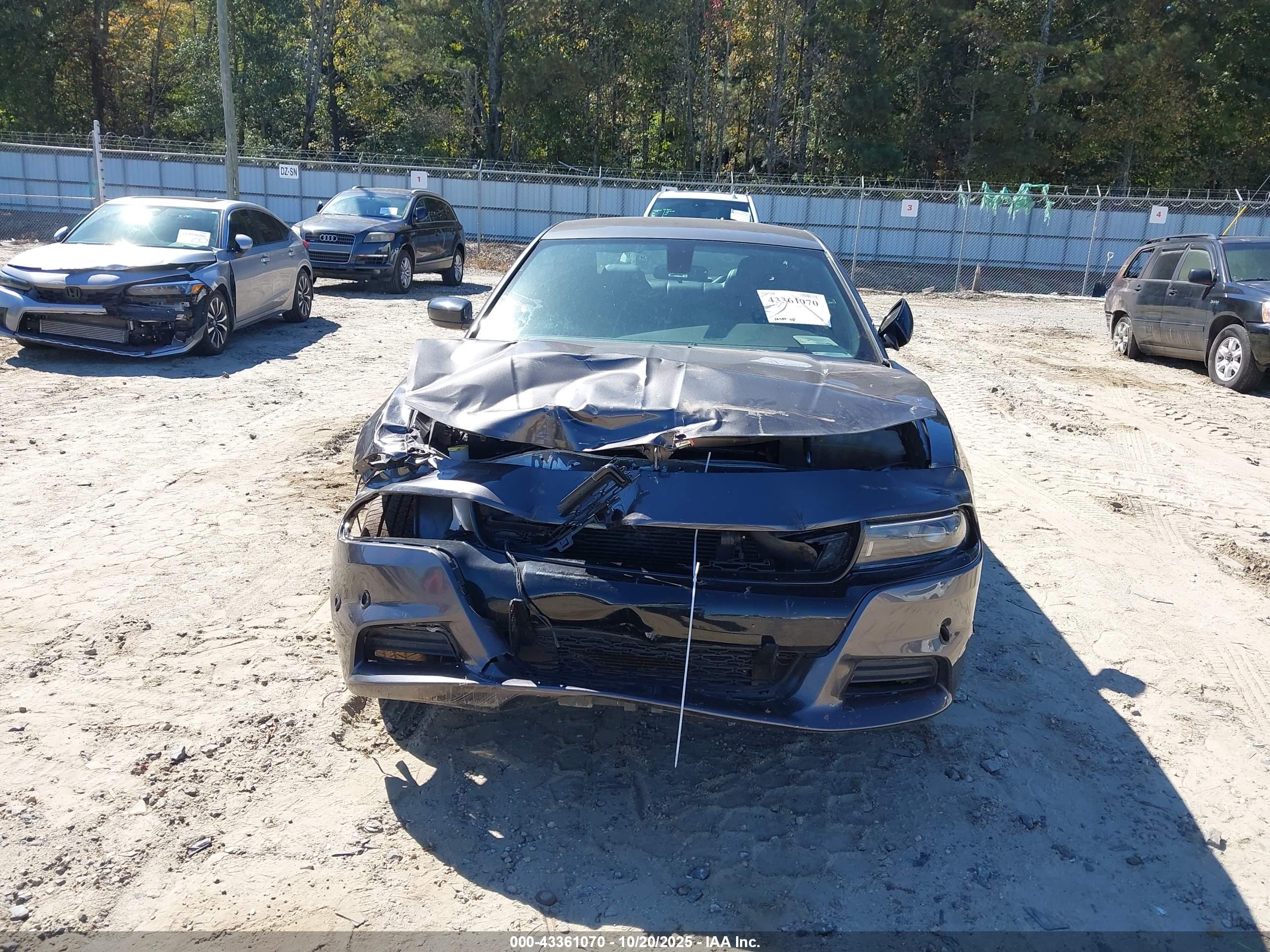 DODGE CHARGER image 6