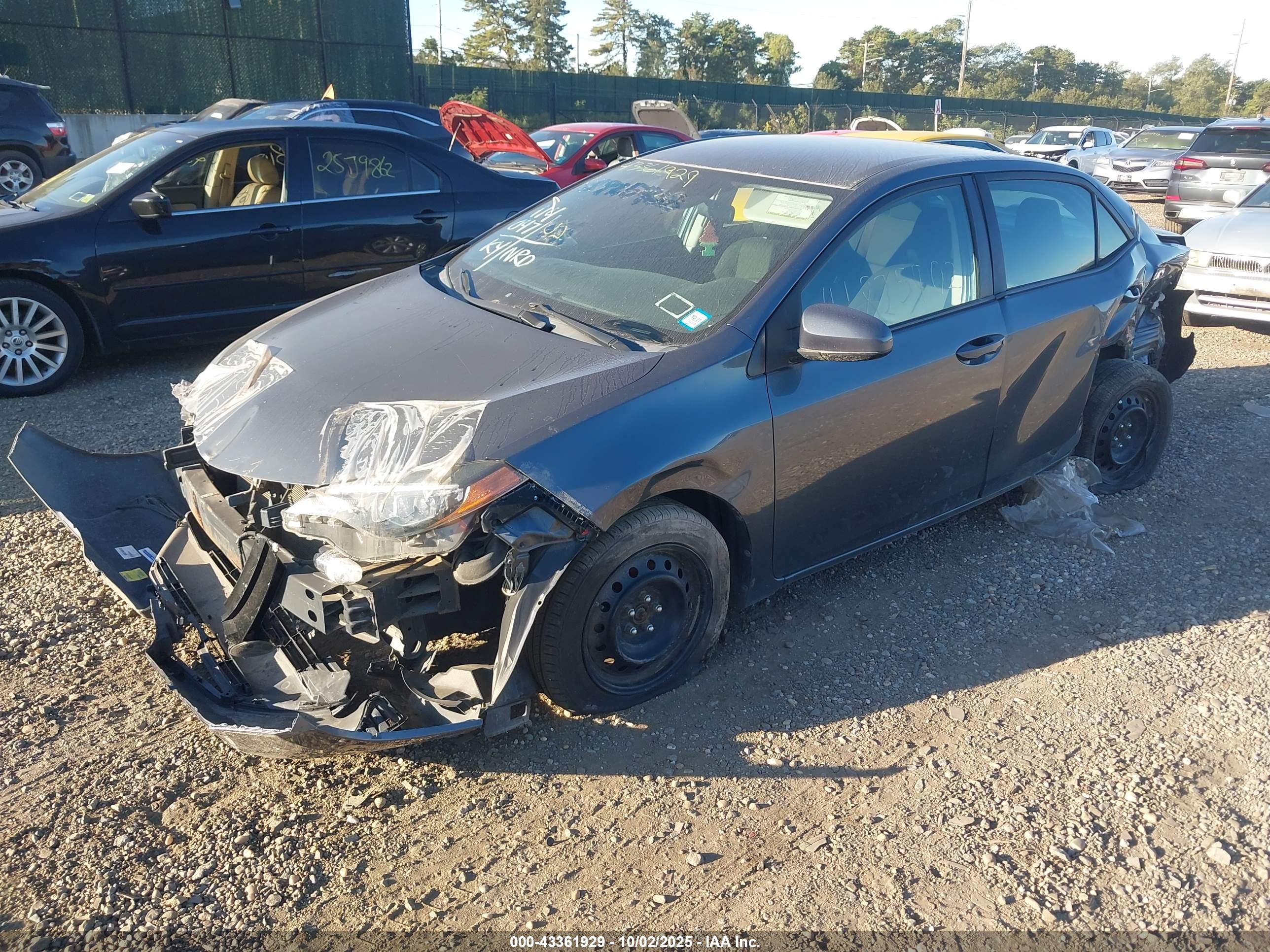 TOYOTA COROLLA image 2