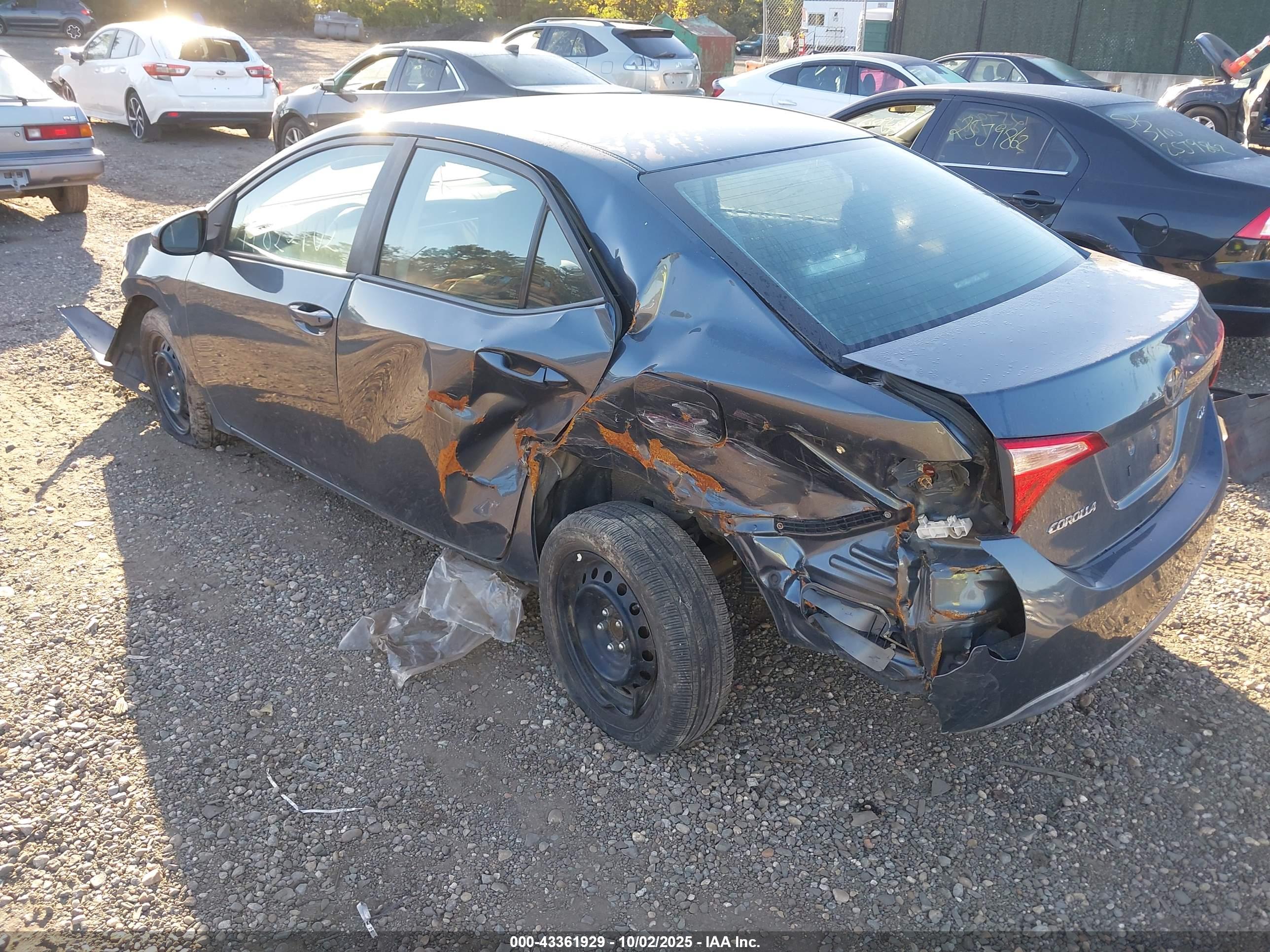 TOYOTA COROLLA image 3