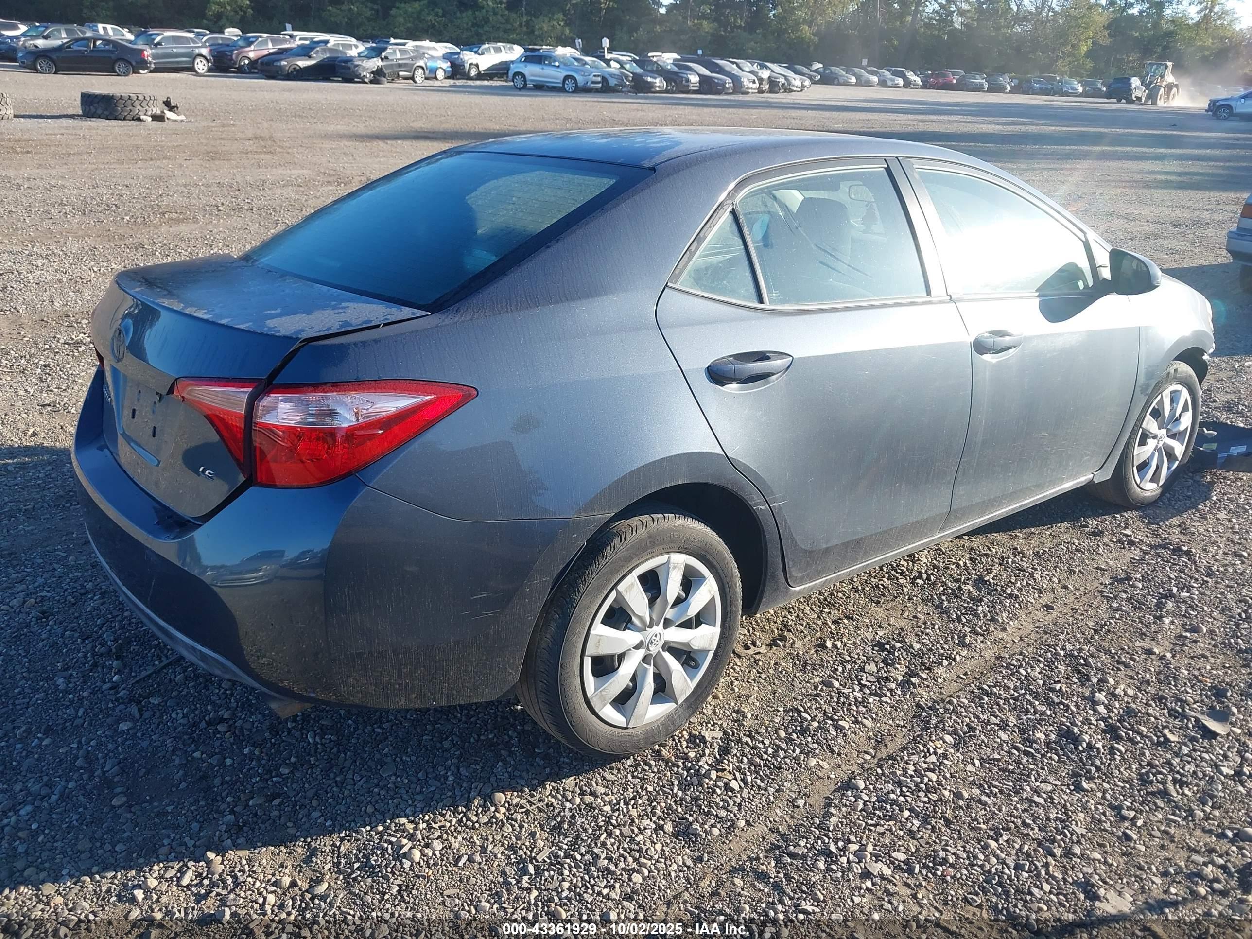 TOYOTA COROLLA image 4