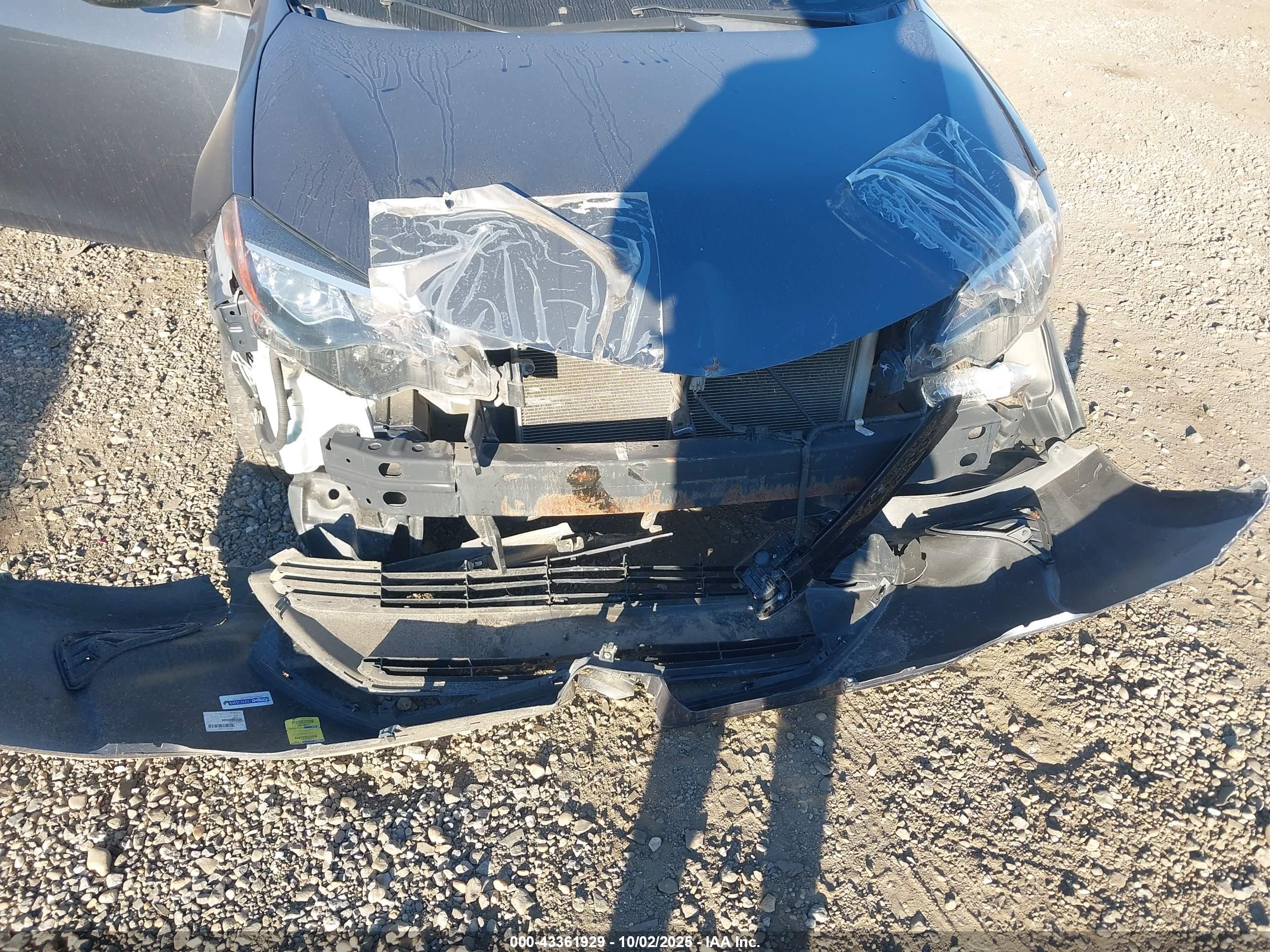 TOYOTA COROLLA image 6