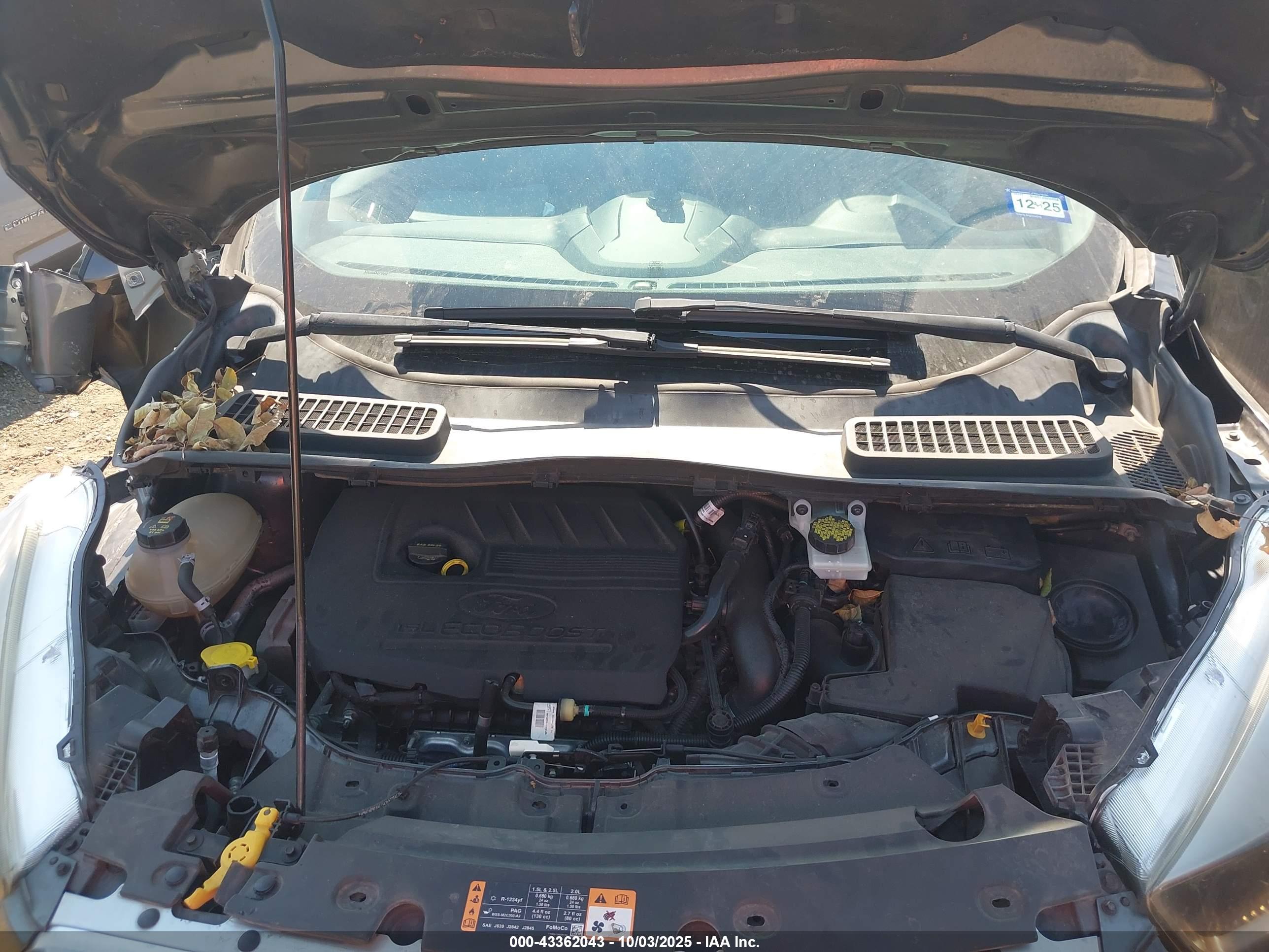 FORD ESCAPE image 10