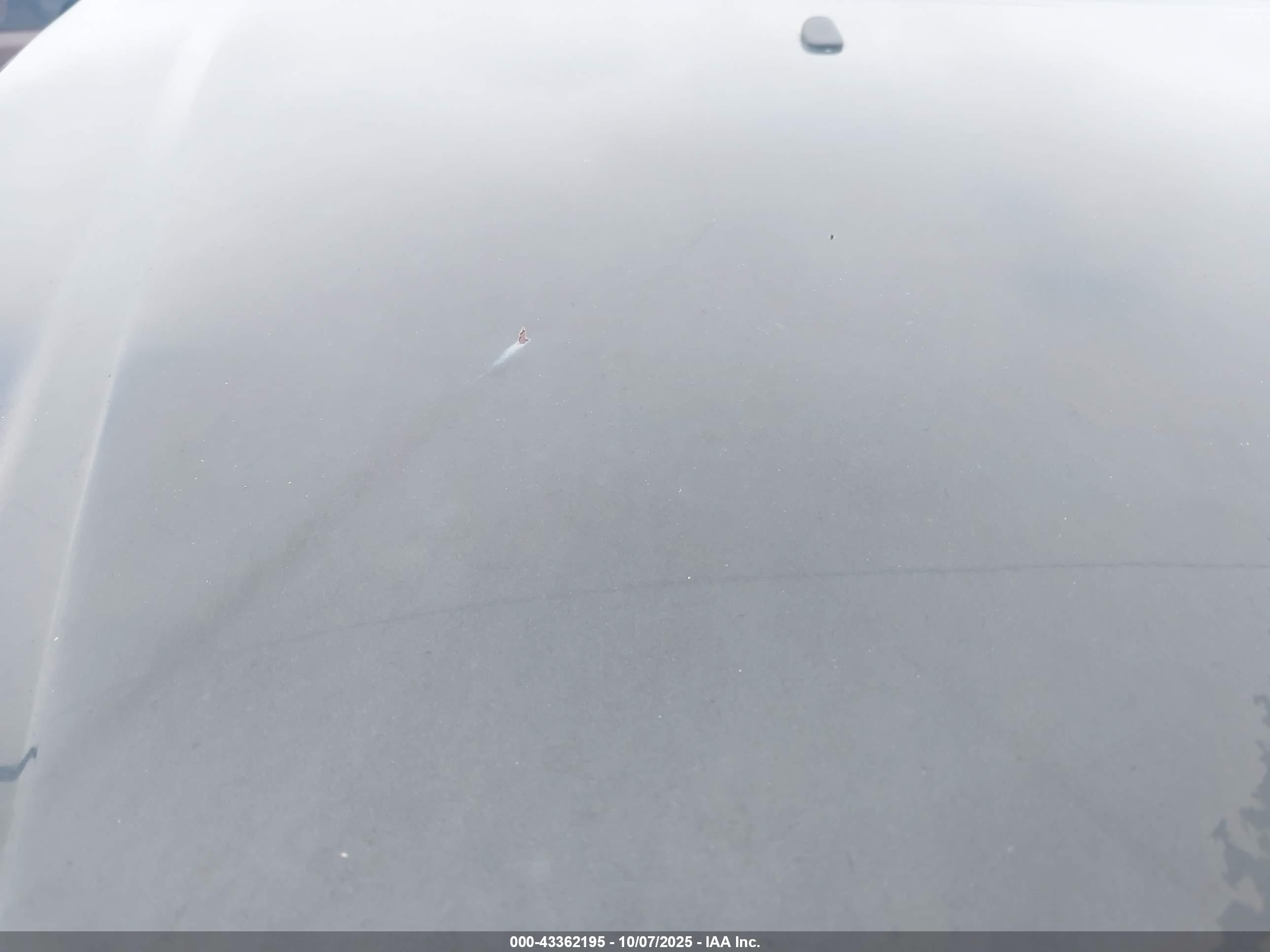 FORD FOCUS image 6