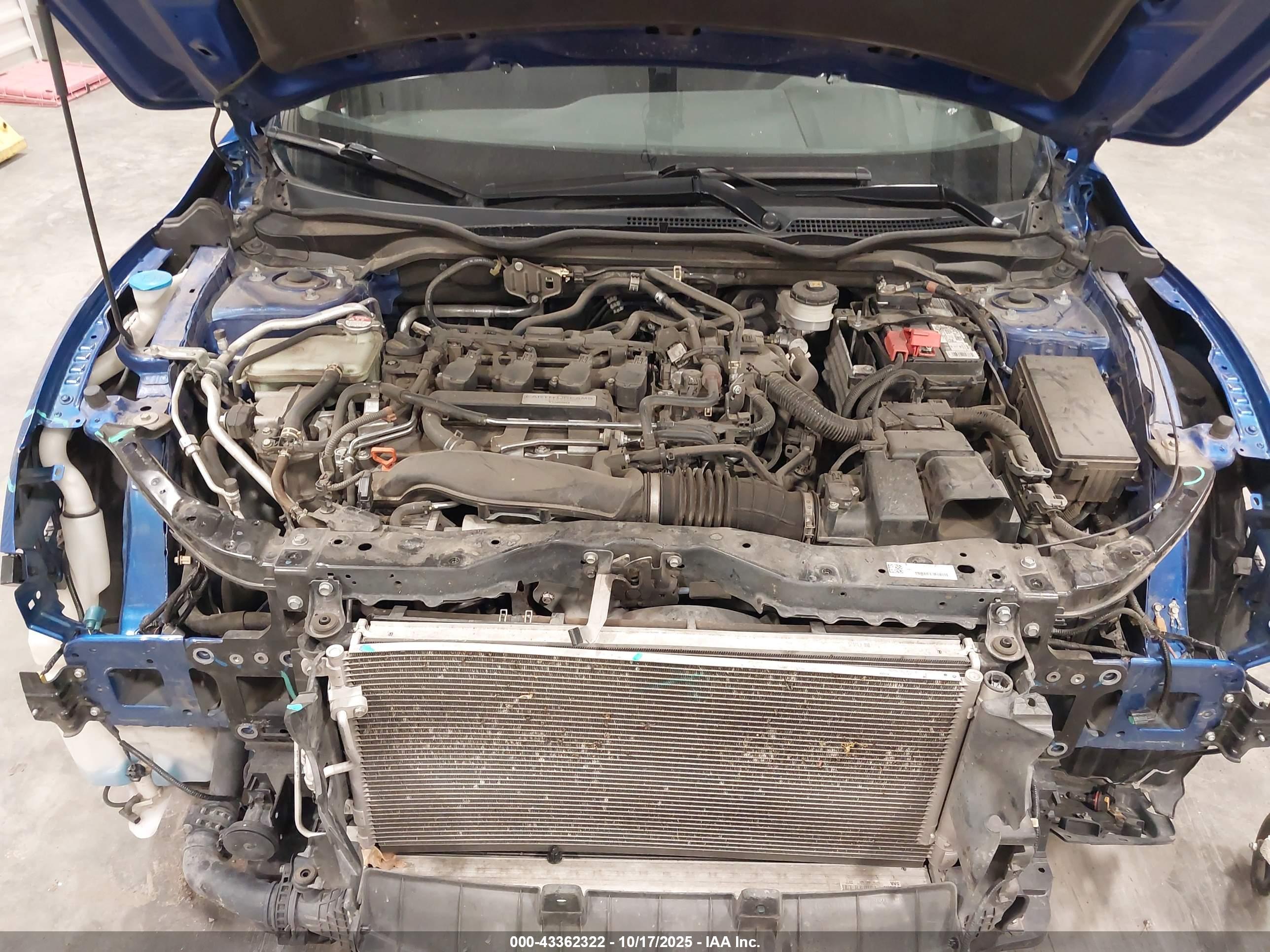 HONDA CIVIC image 10