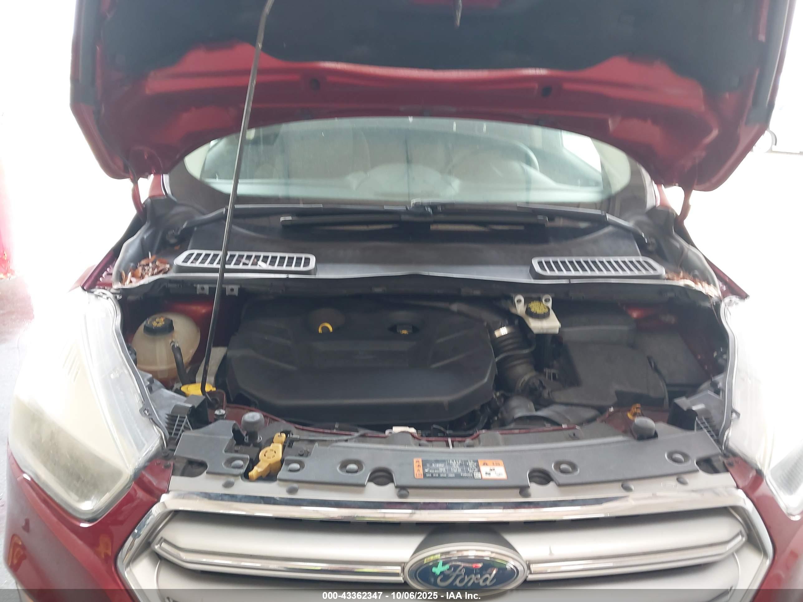 FORD ESCAPE image 10