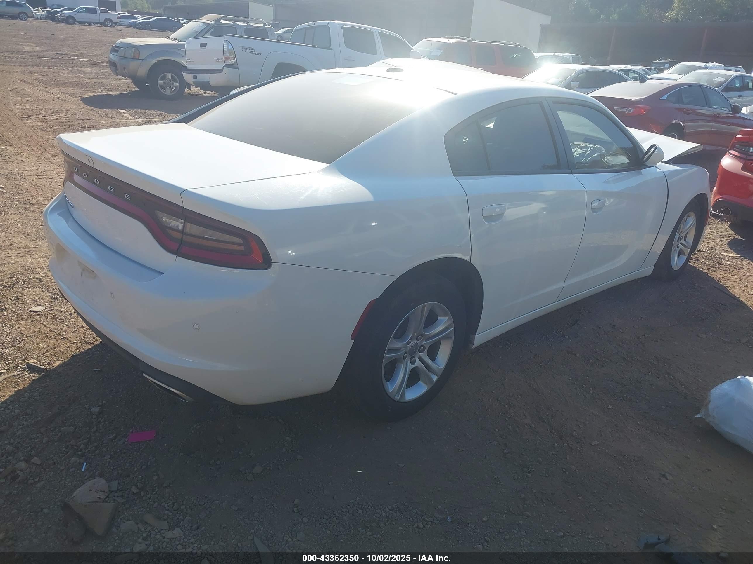 DODGE CHARGER image 4