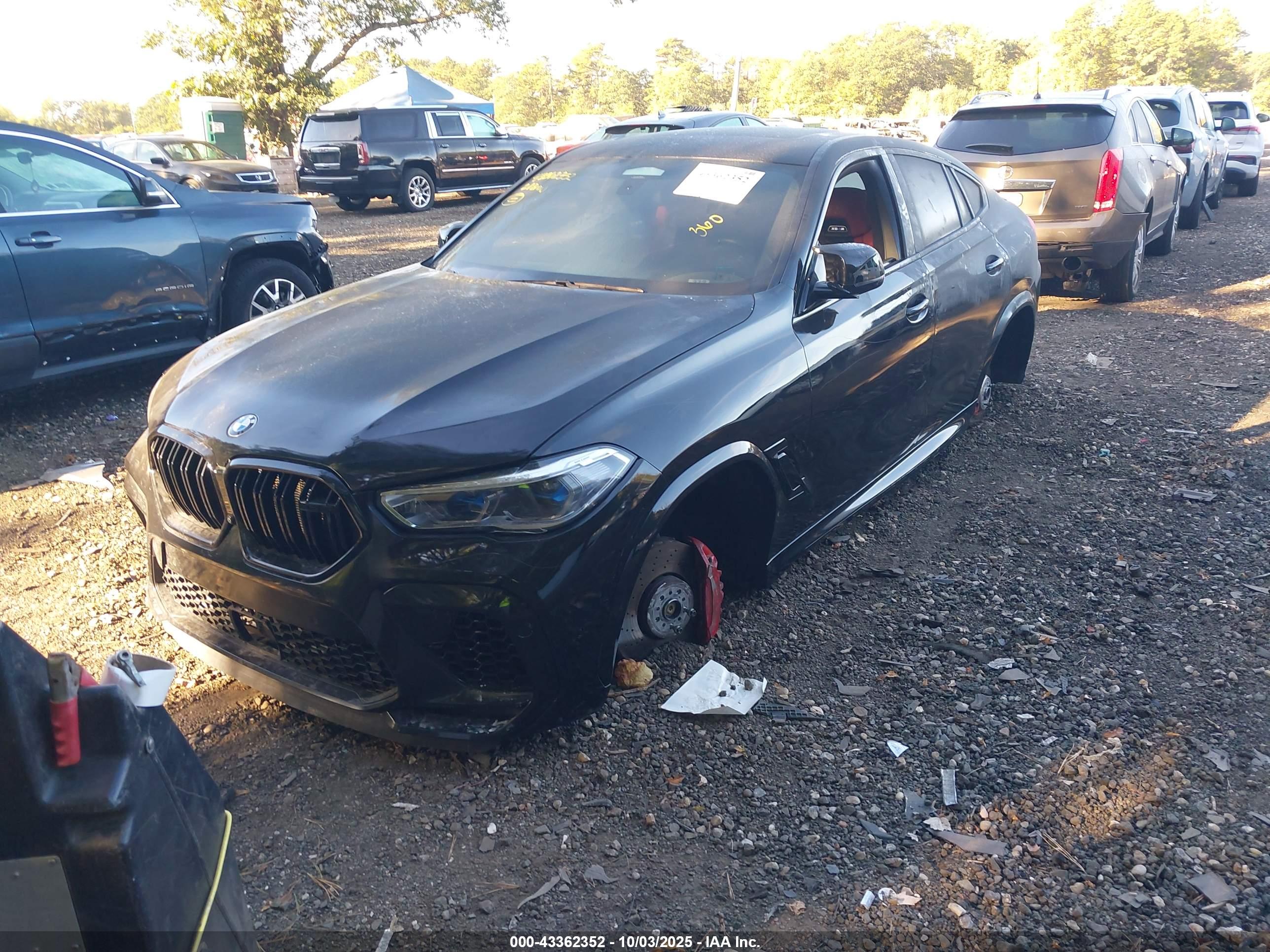 BMW X6 image 2