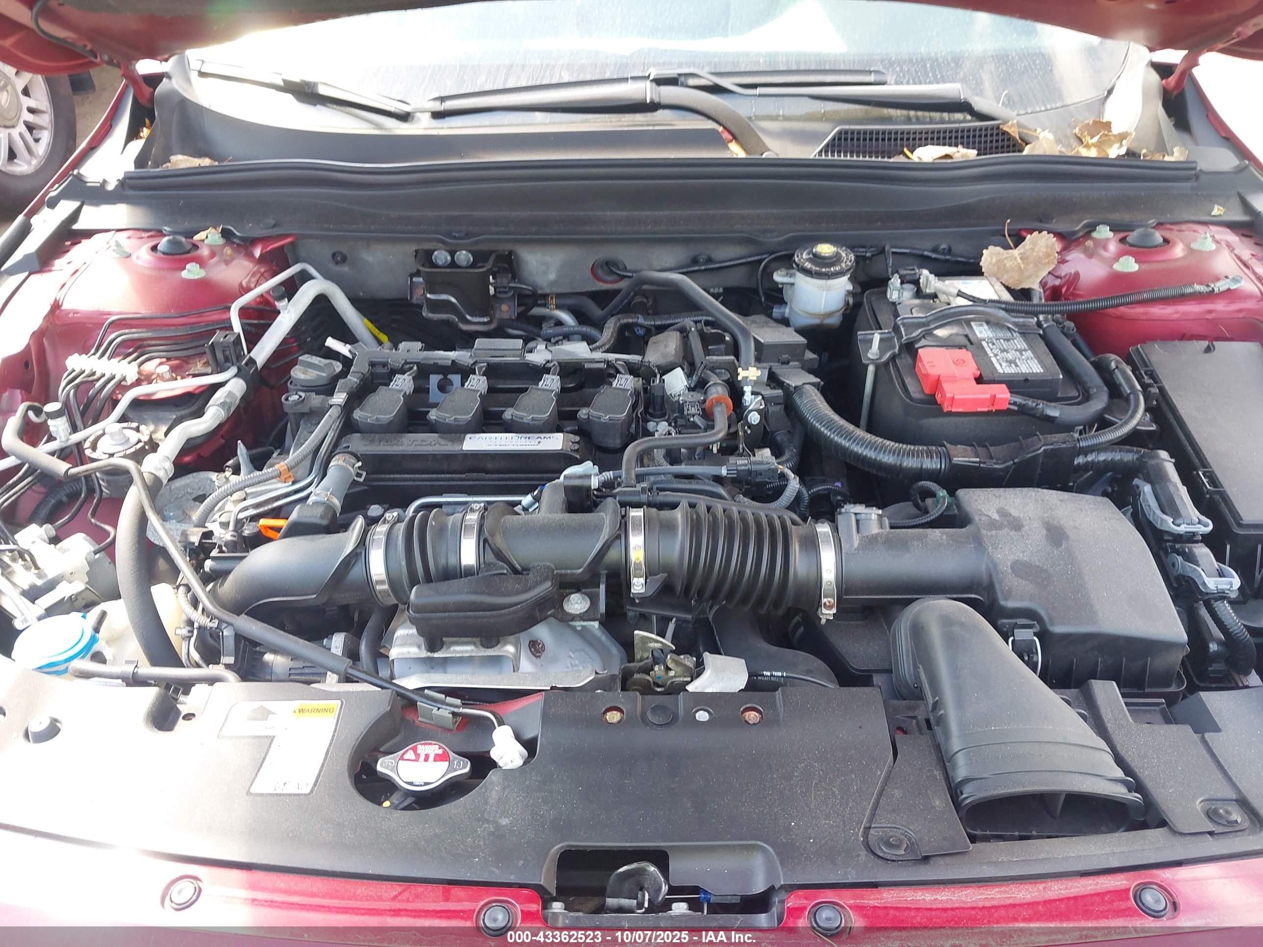 HONDA ACCORD image 10