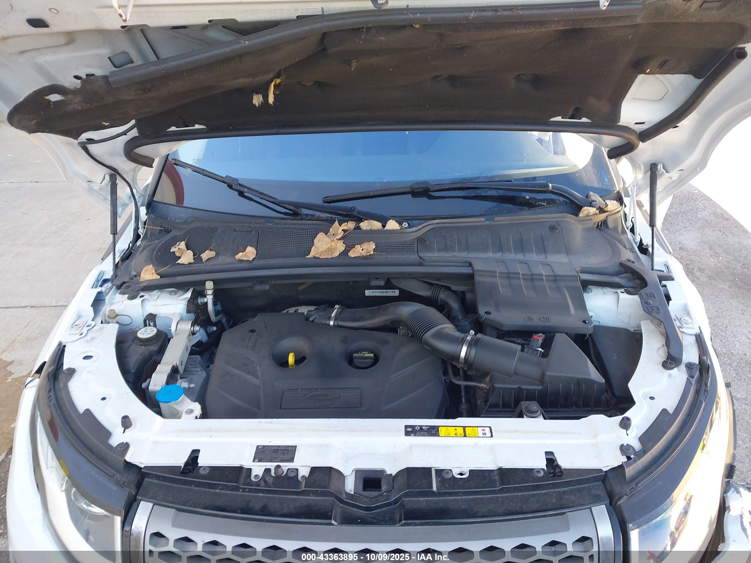 LAND ROVER image 10
