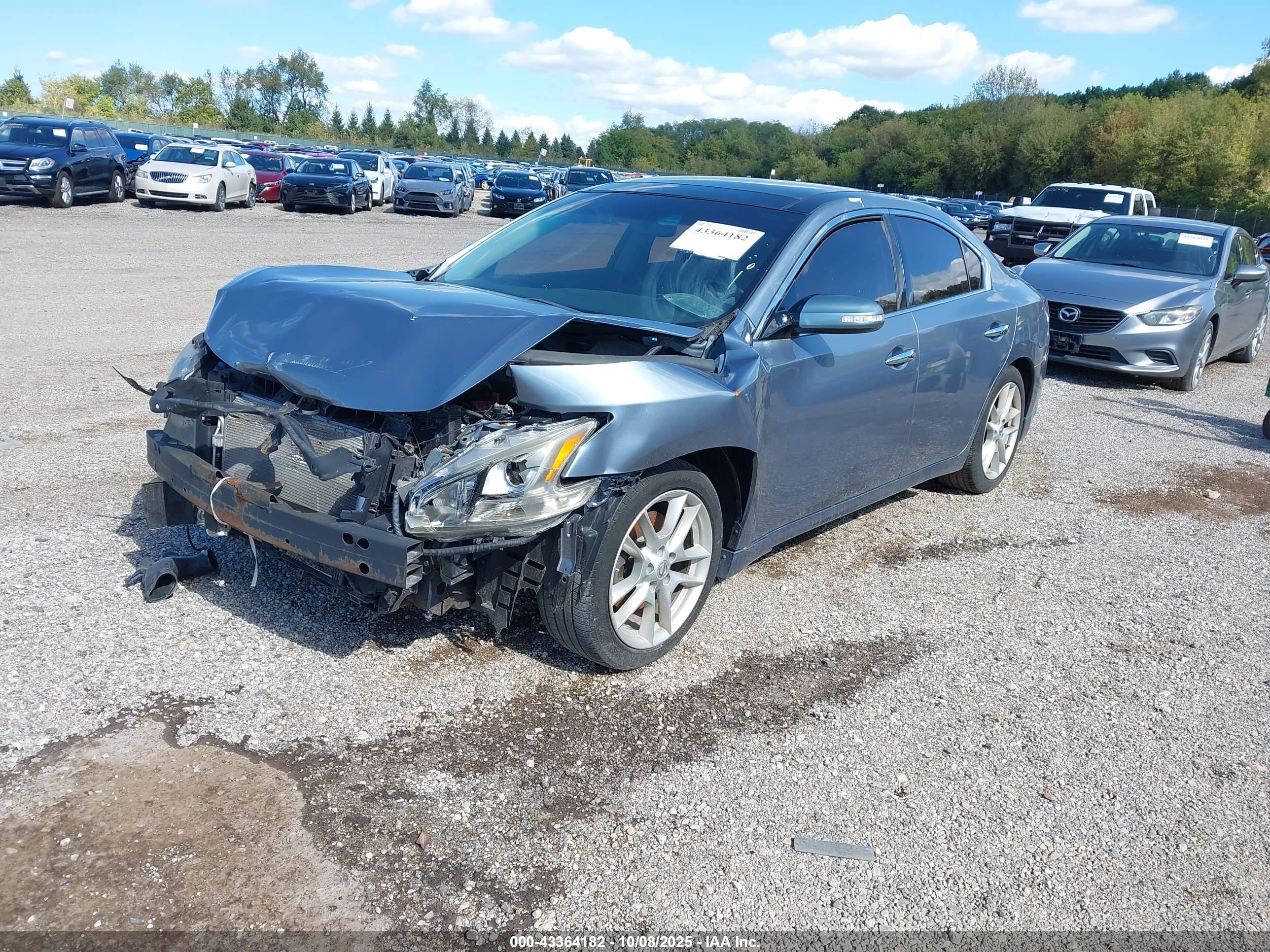NISSAN MAXIMA image 2