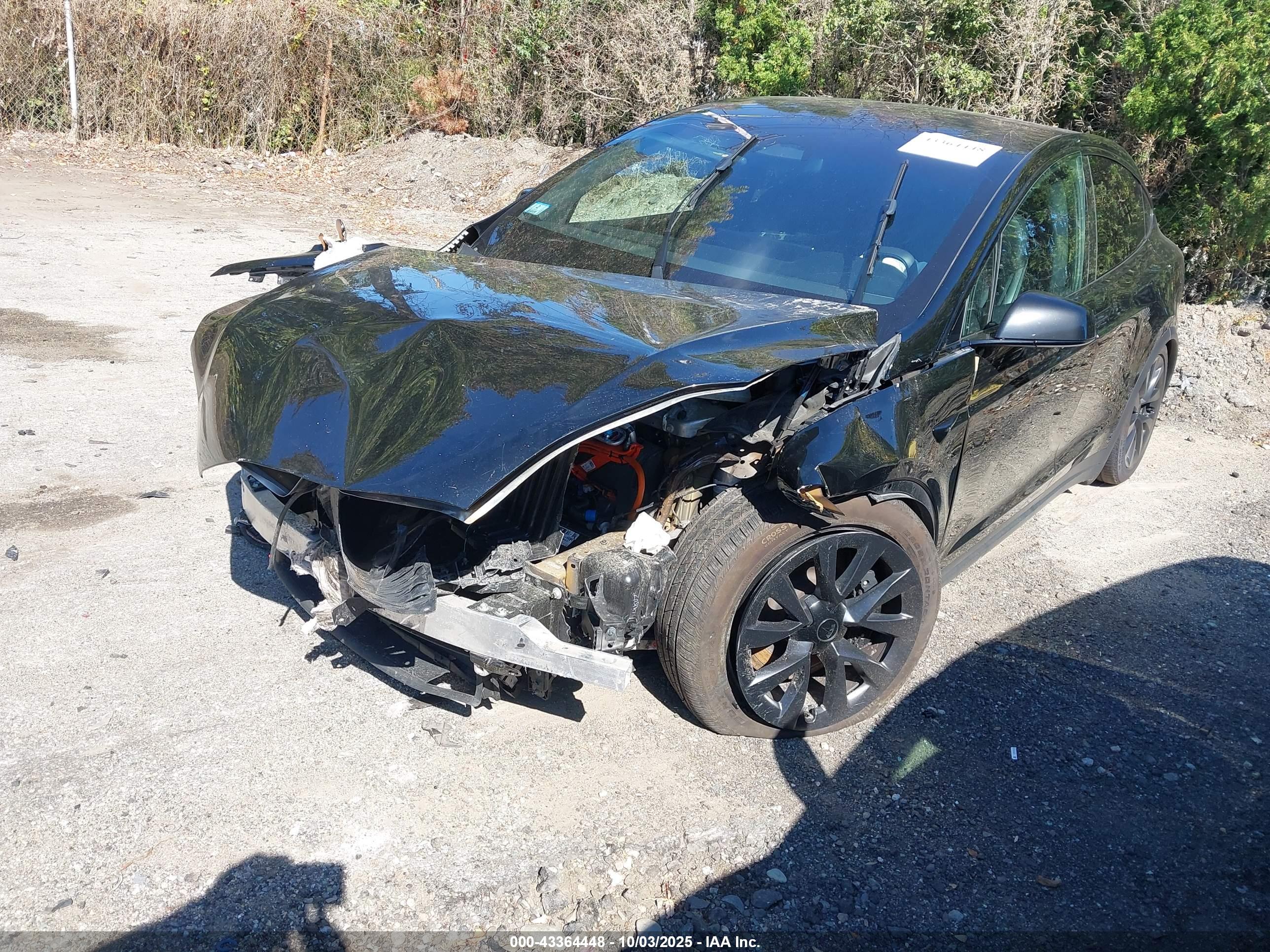 TESLA MODEL image 2