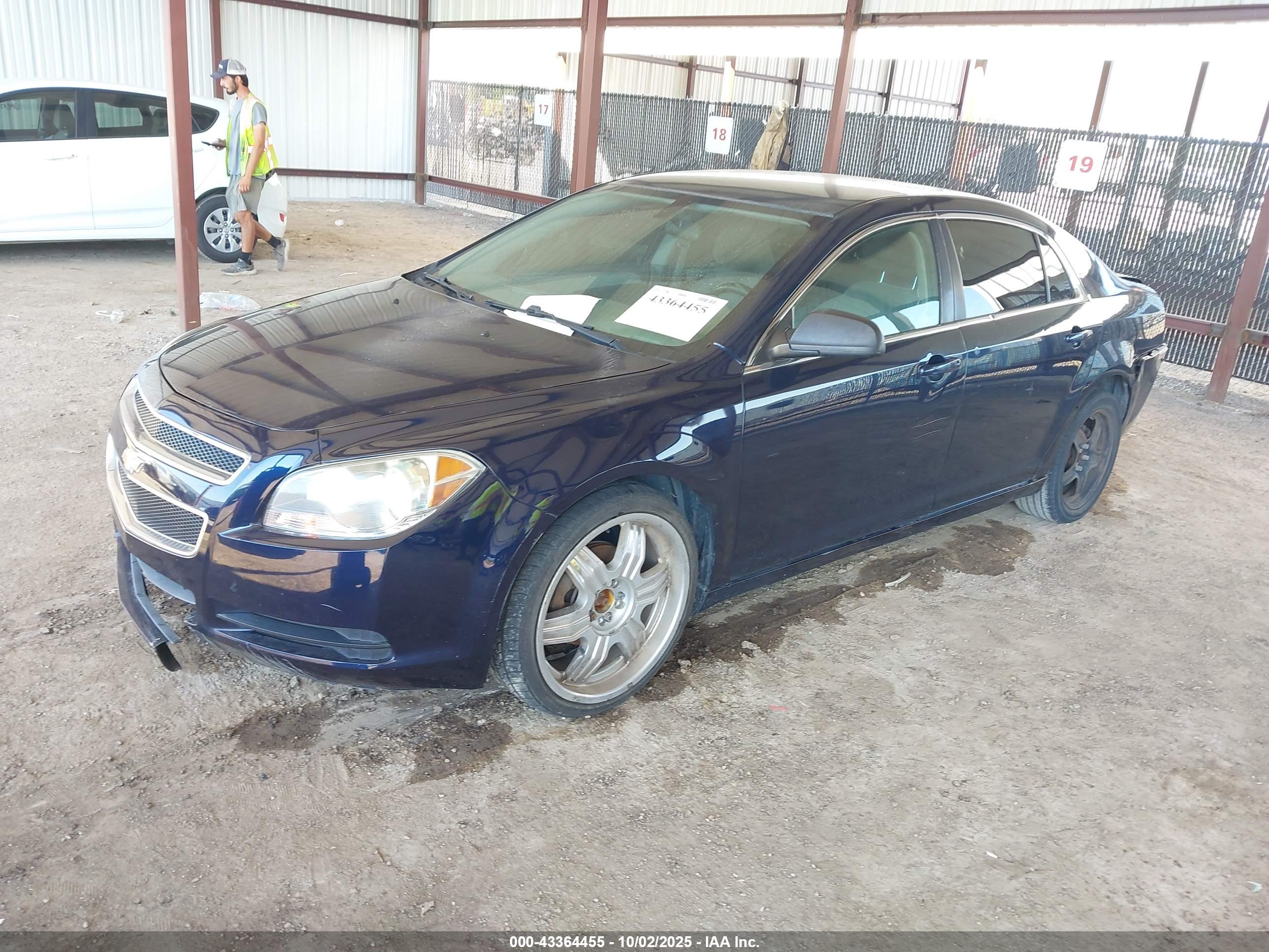 CHEVROLET MALIBU image 2