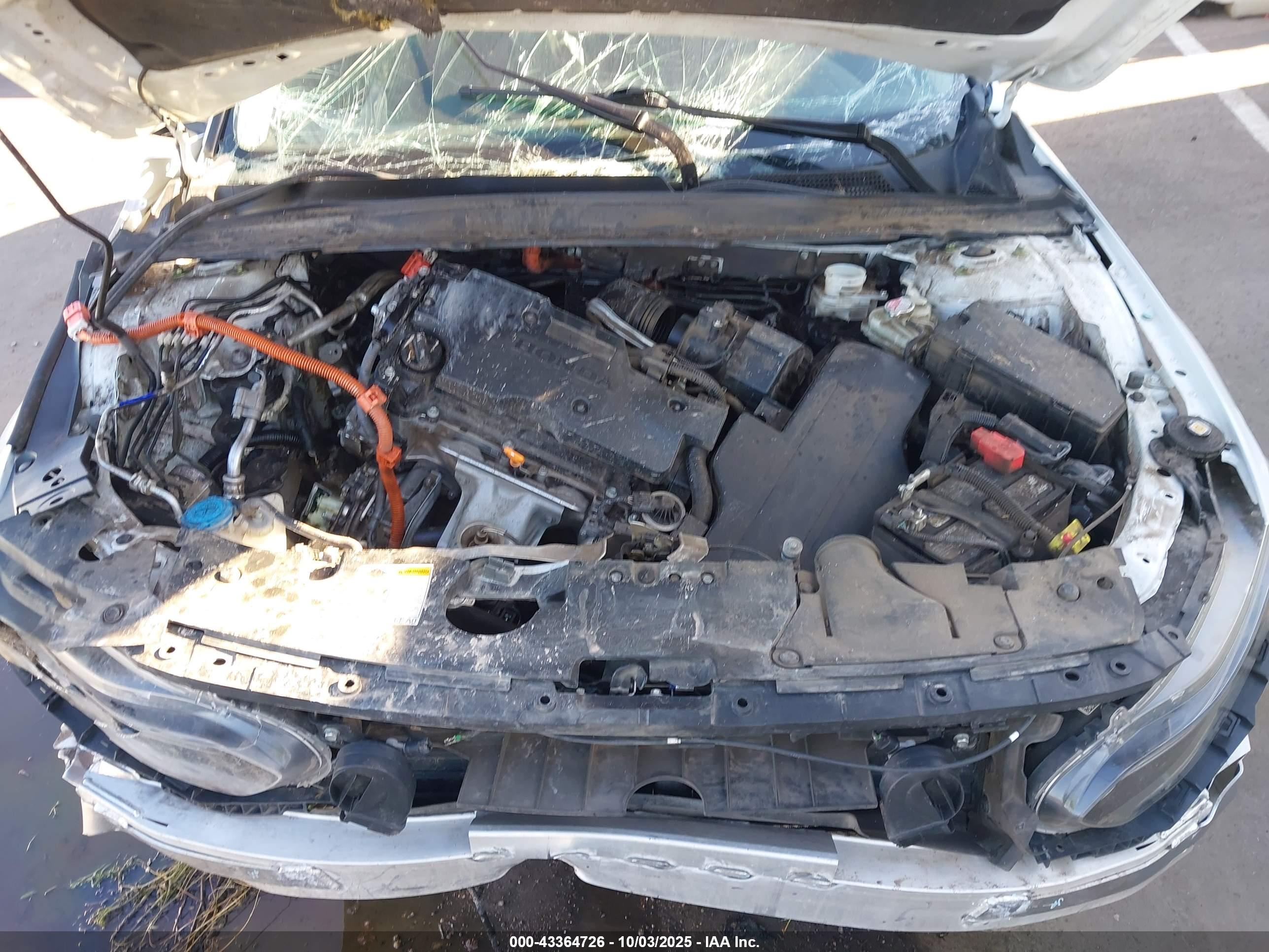 HONDA ACCORD image 10