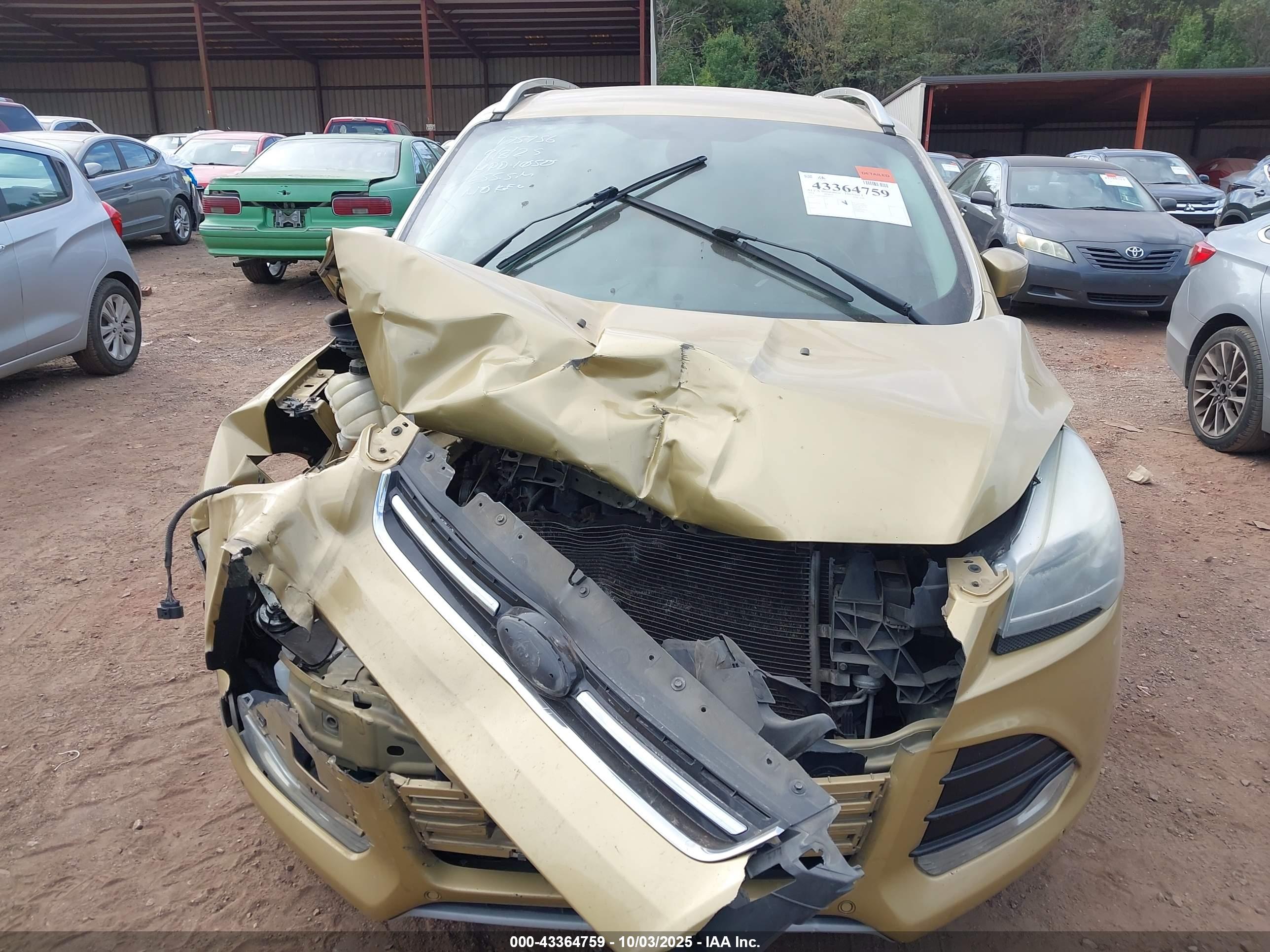 FORD ESCAPE image 6