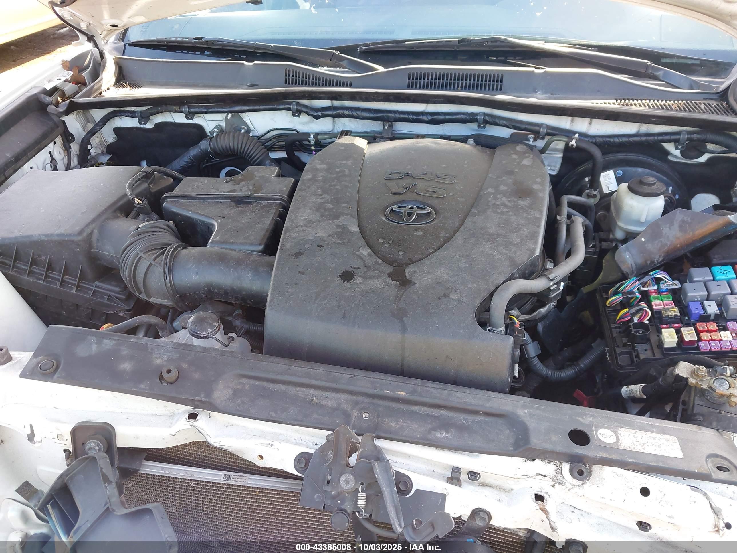 TOYOTA TACOMA image 10