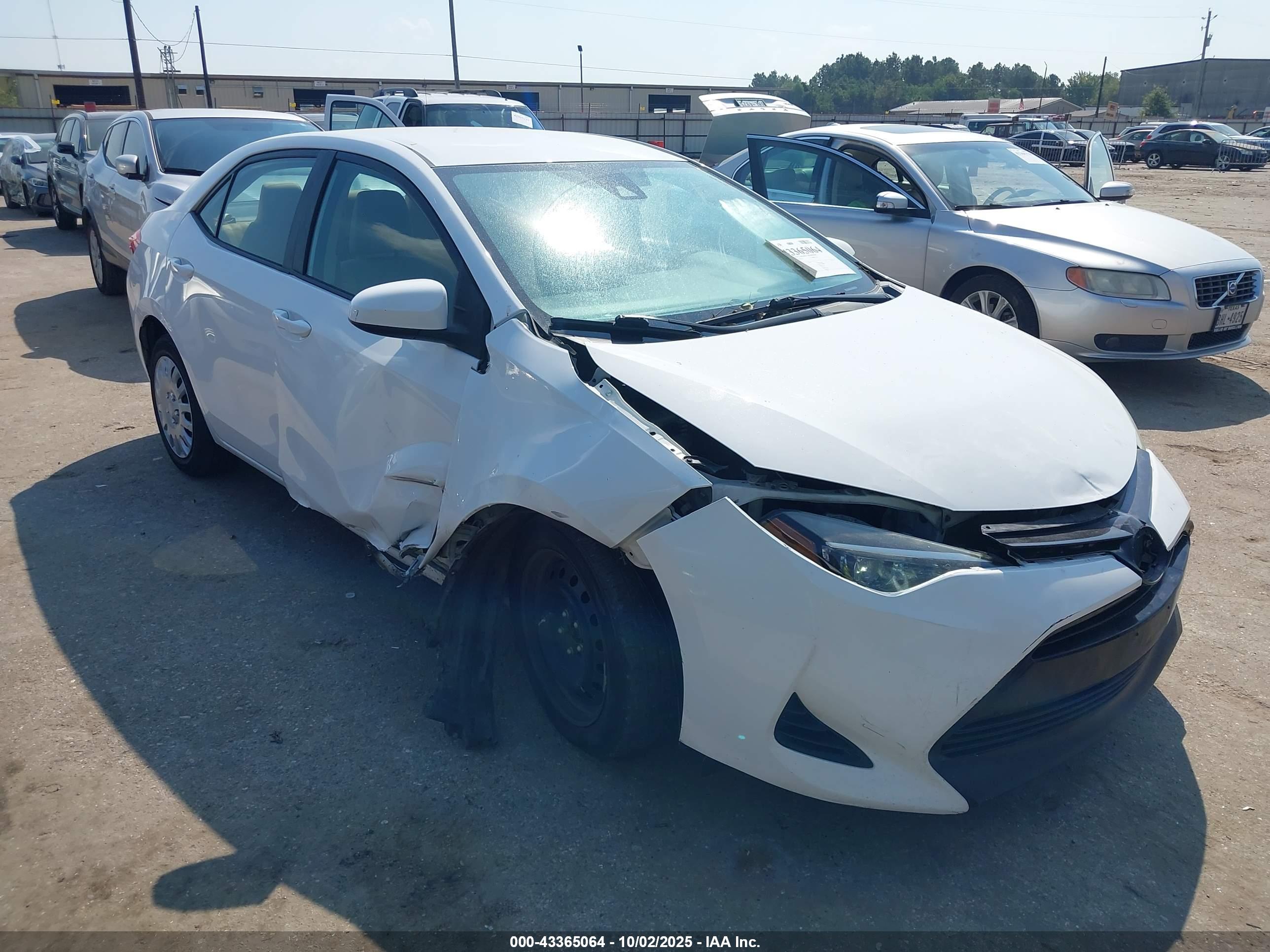 TOYOTA COROLLA image 6