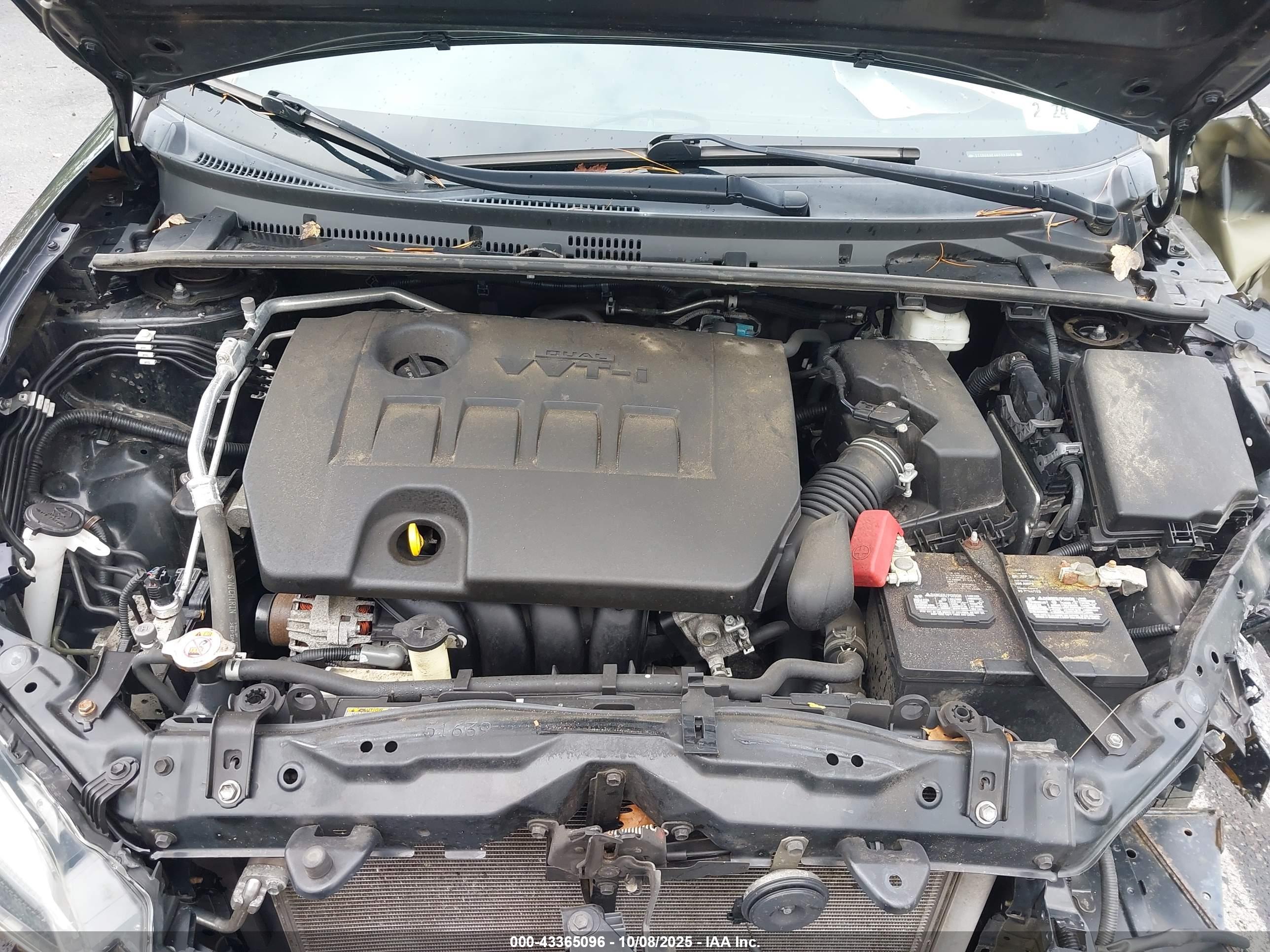 TOYOTA COROLLA image 10