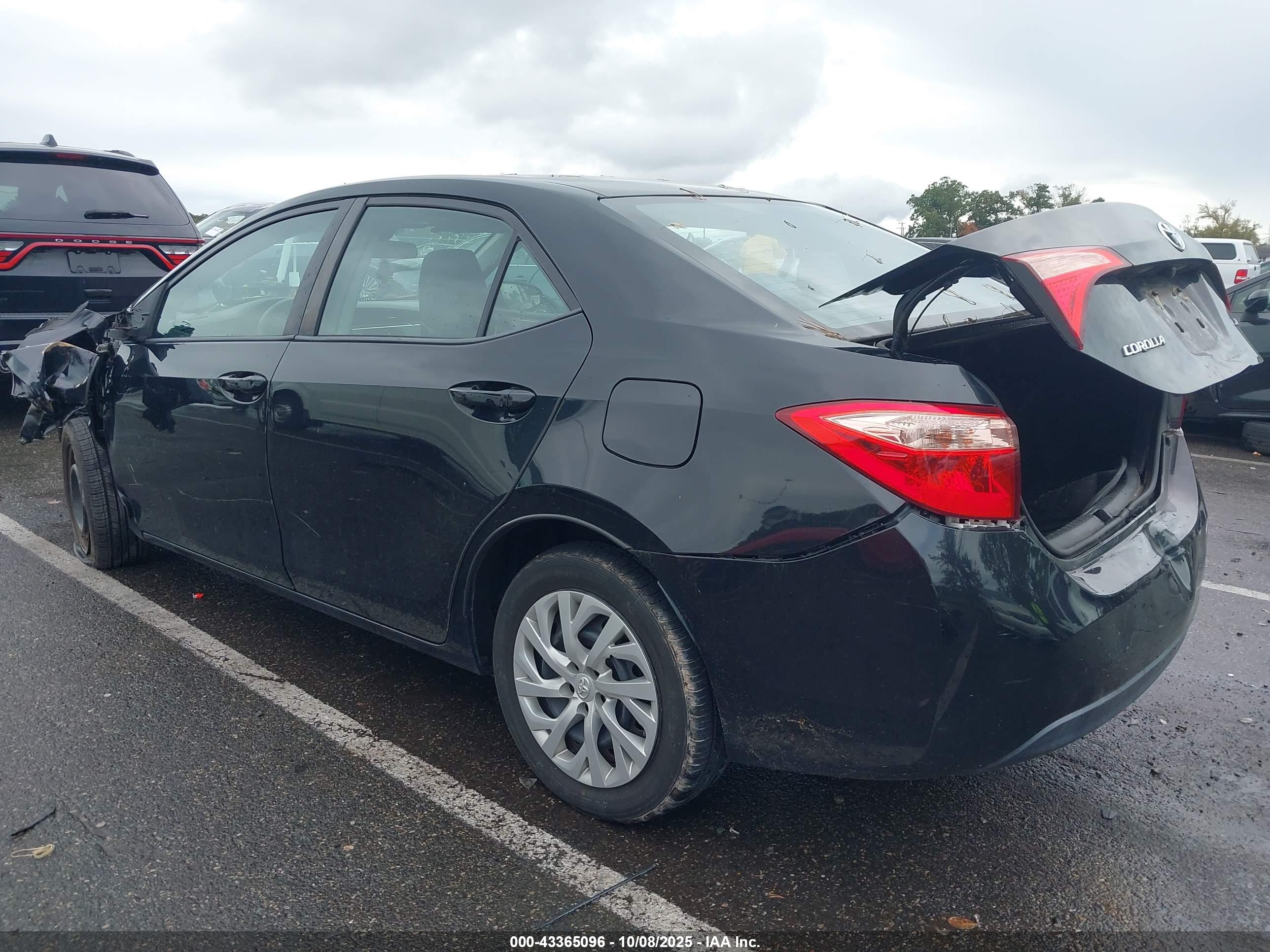 TOYOTA COROLLA image 3