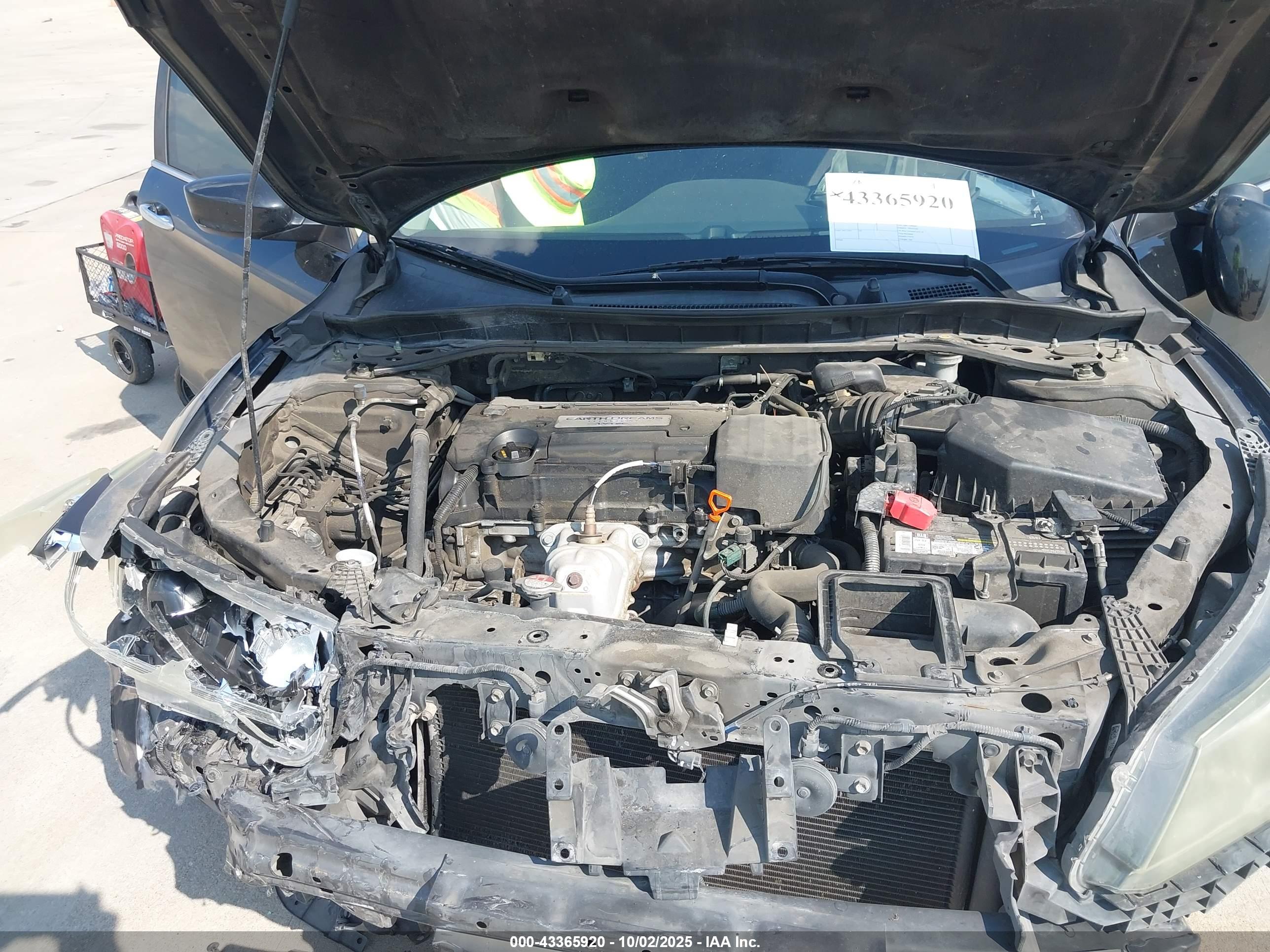 HONDA ACCORD image 10
