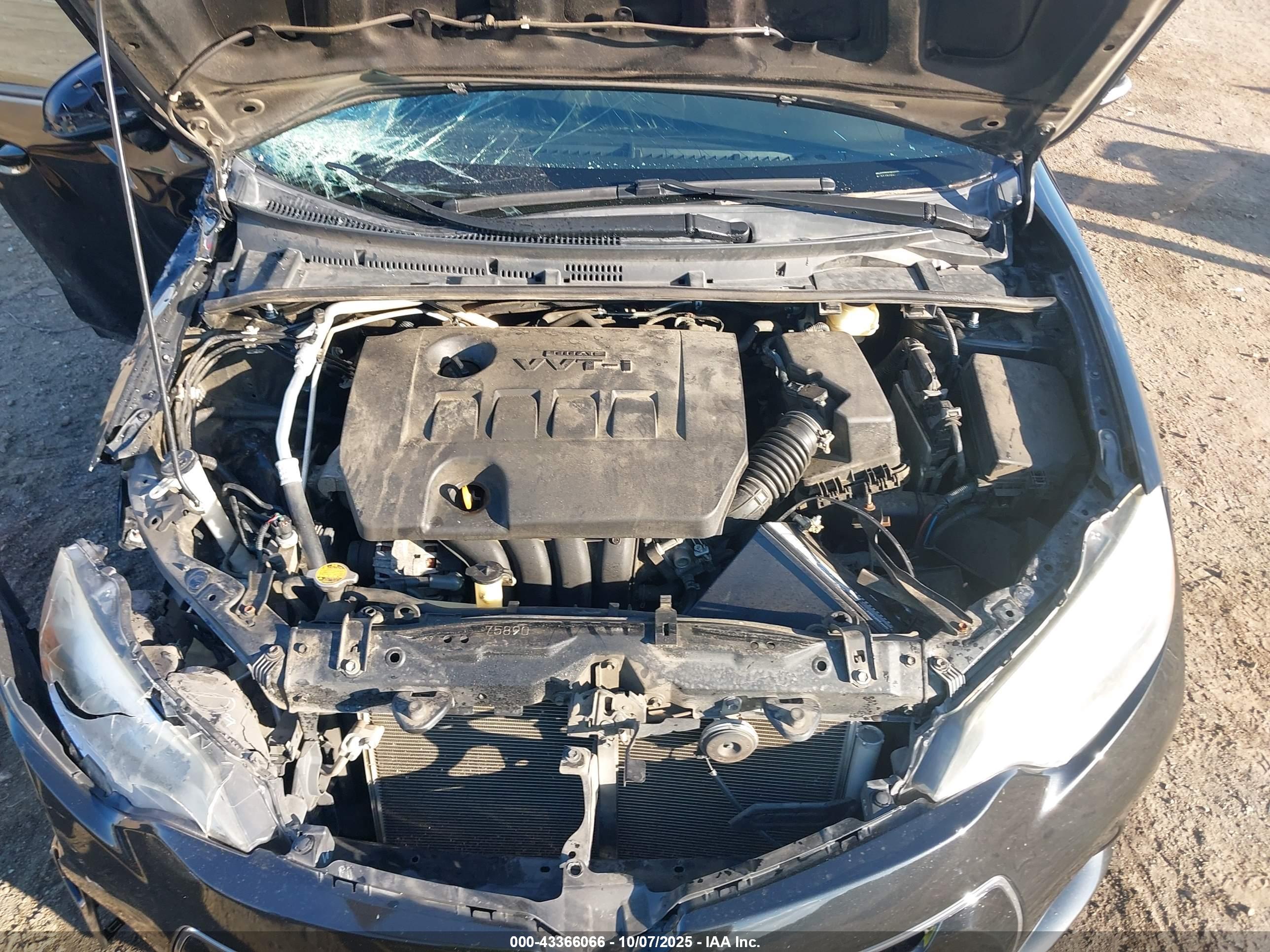 TOYOTA COROLLA image 10