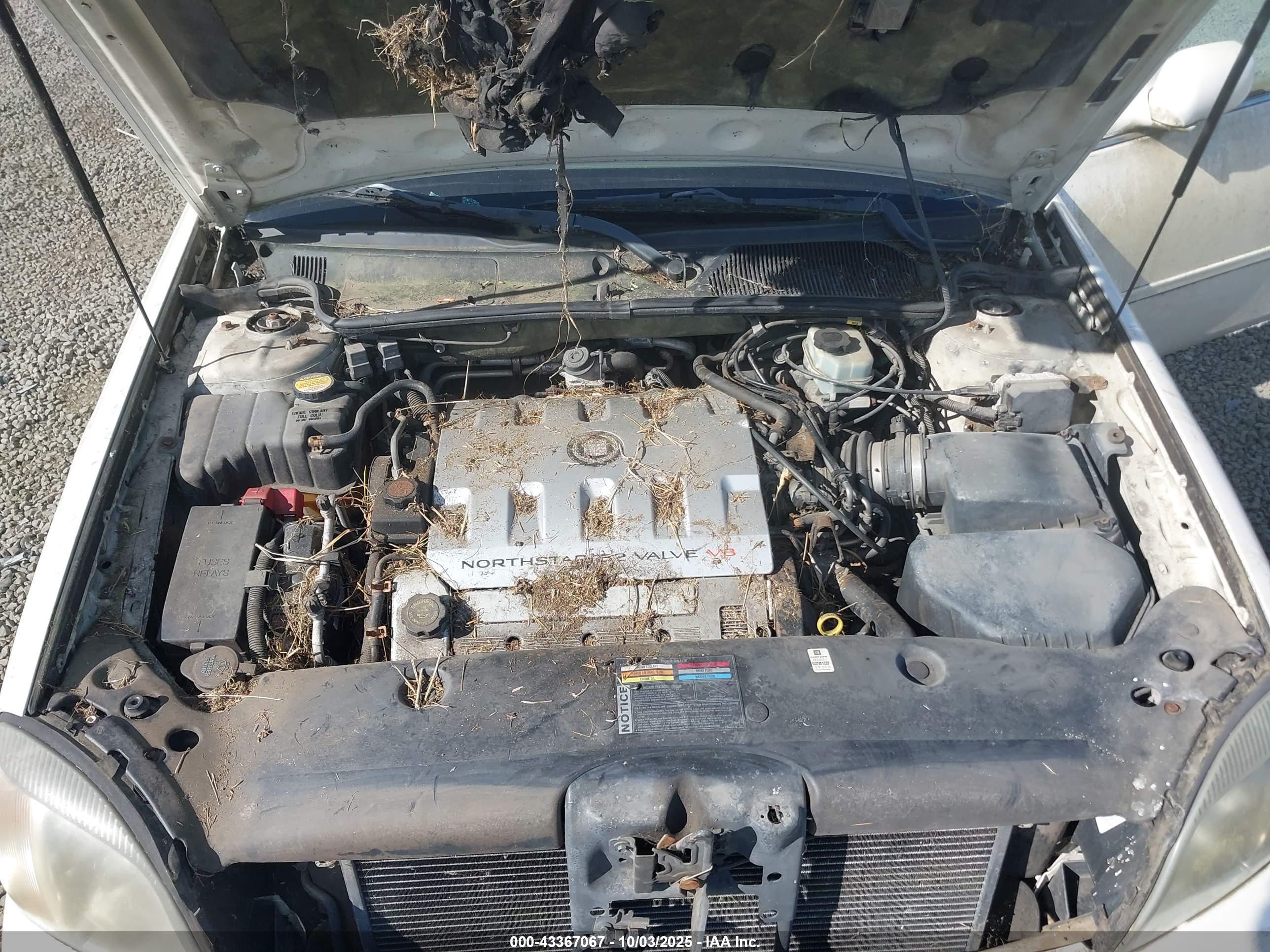 CADILLAC DEVILLE image 10