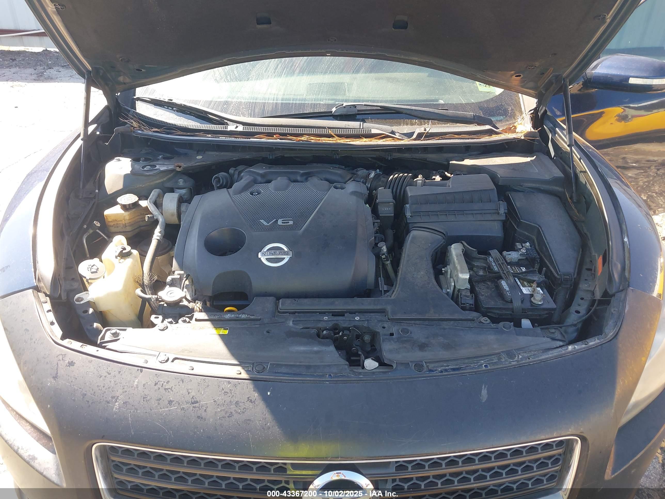 NISSAN MAXIMA image 10