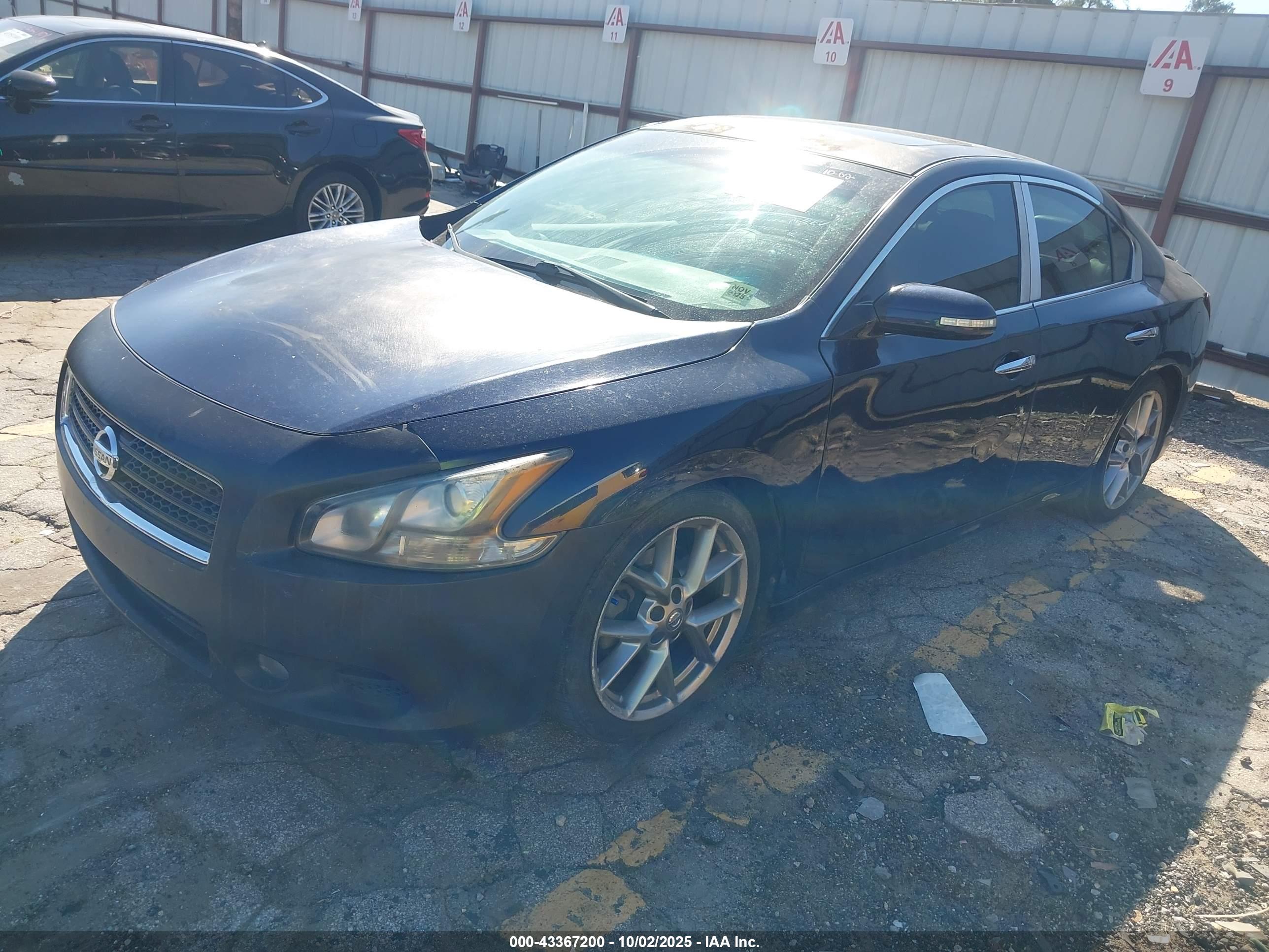 NISSAN MAXIMA image 2
