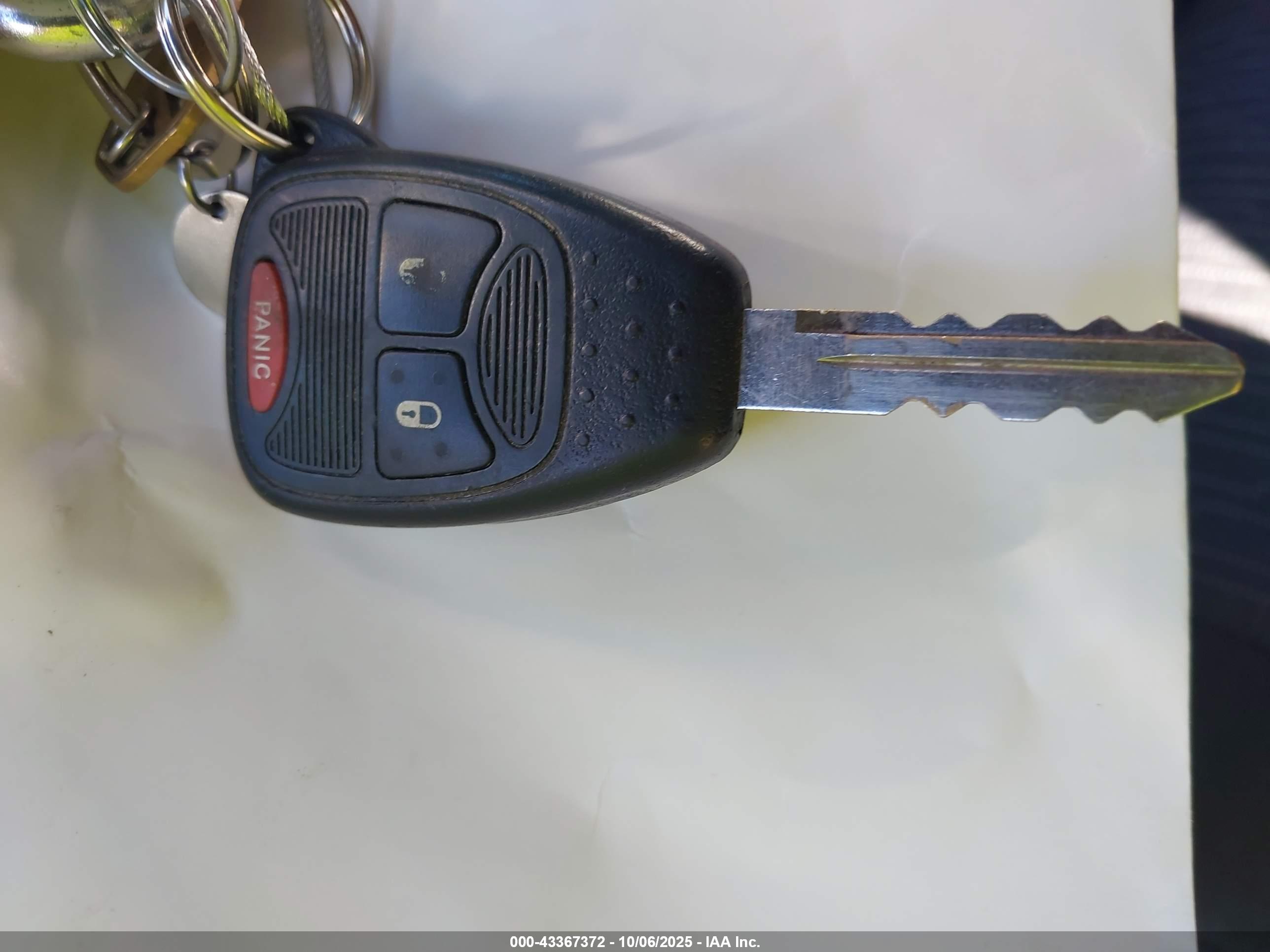 JEEP WRANGLER image 11