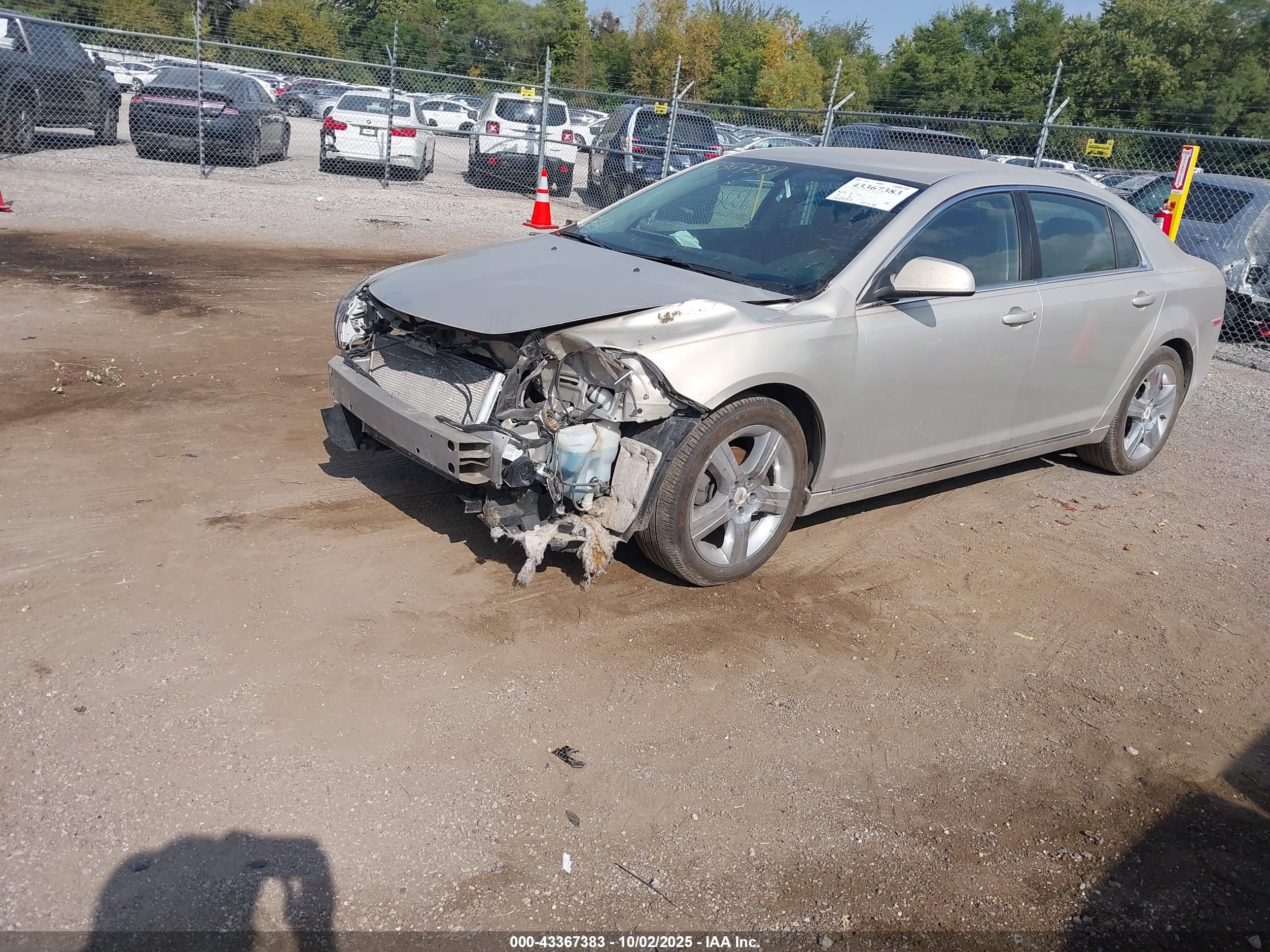CHEVROLET MALIBU image 2