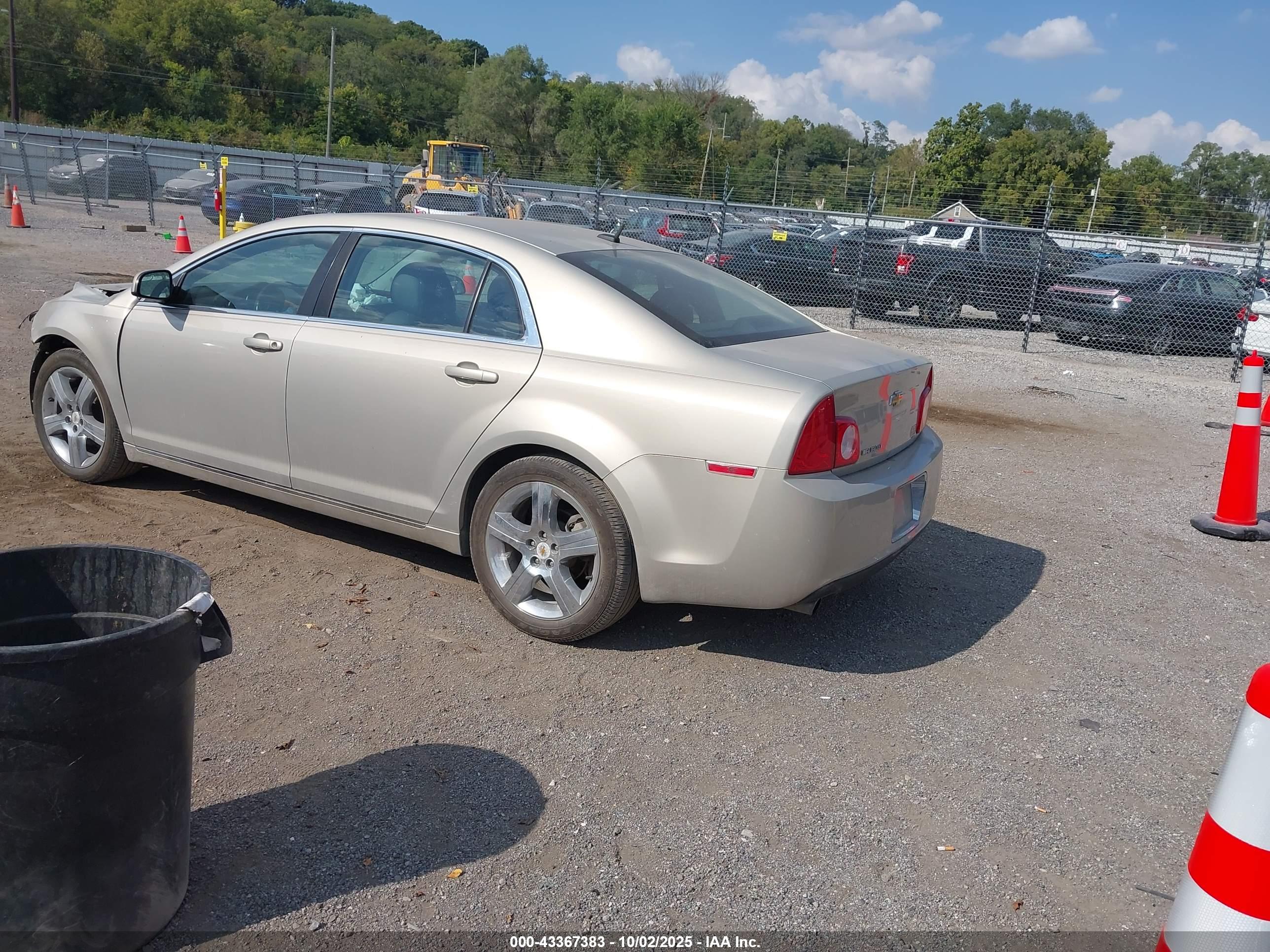 CHEVROLET MALIBU image 3