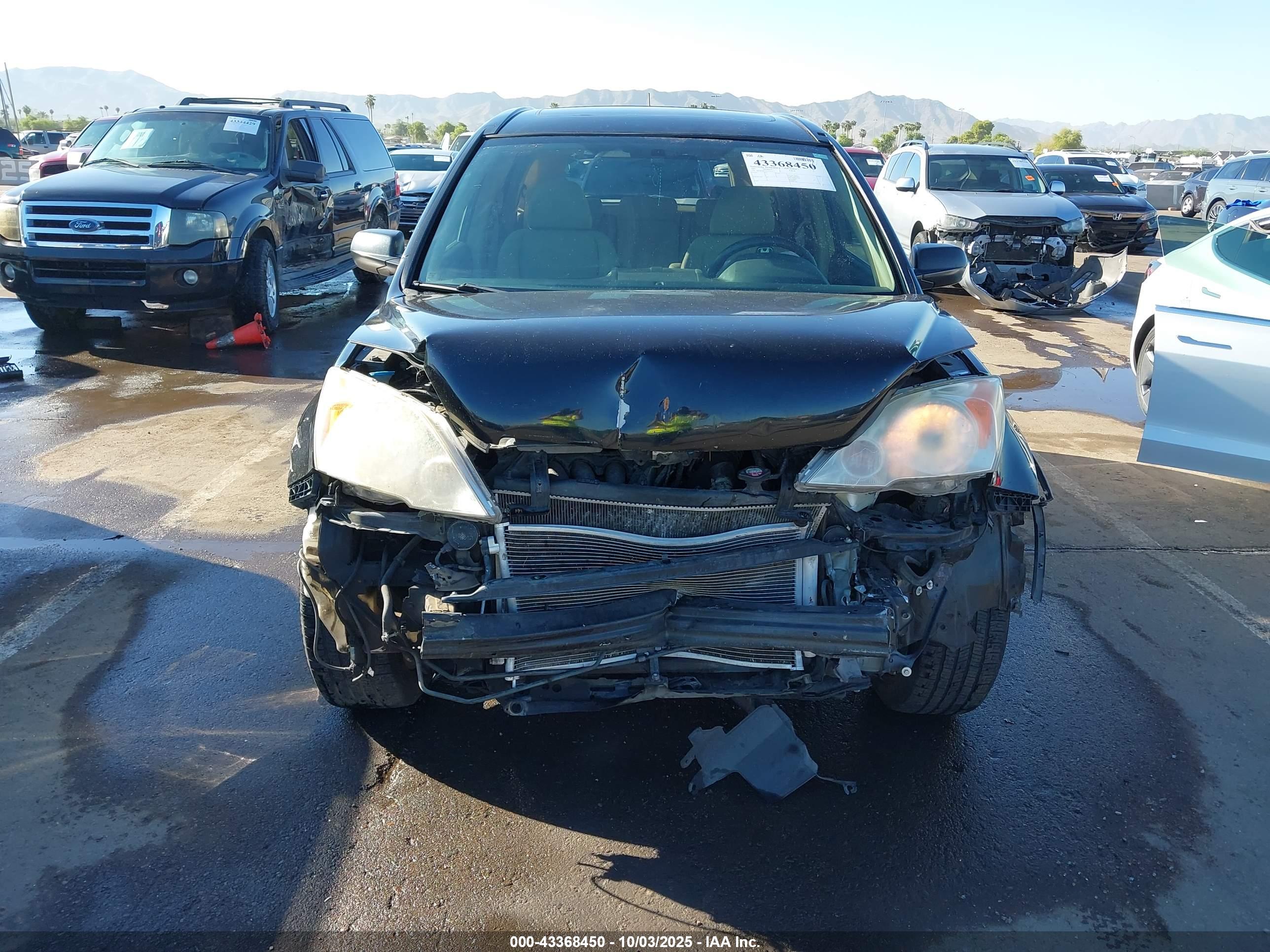 HONDA CR-V image 6
